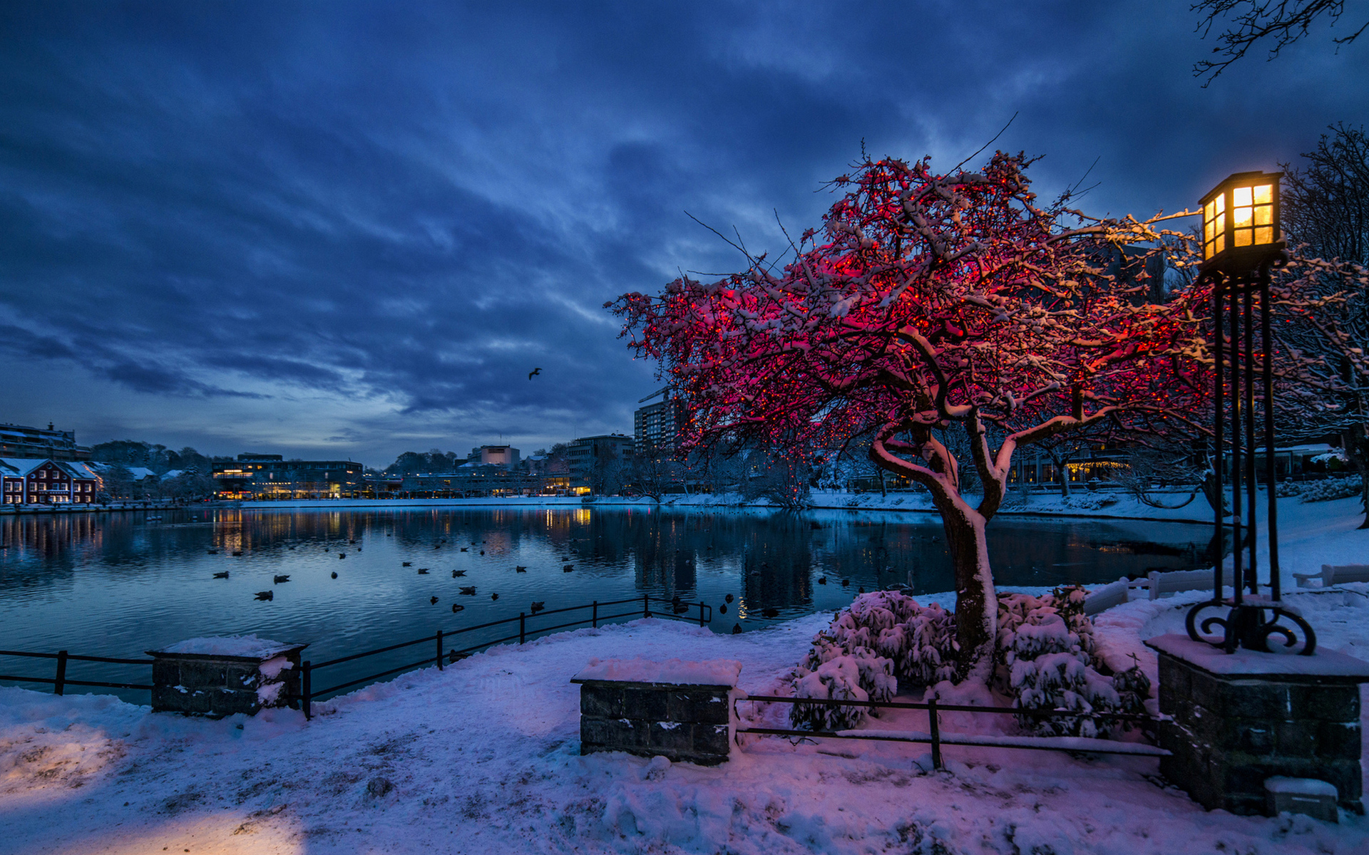 Stavanger Норвегия зима