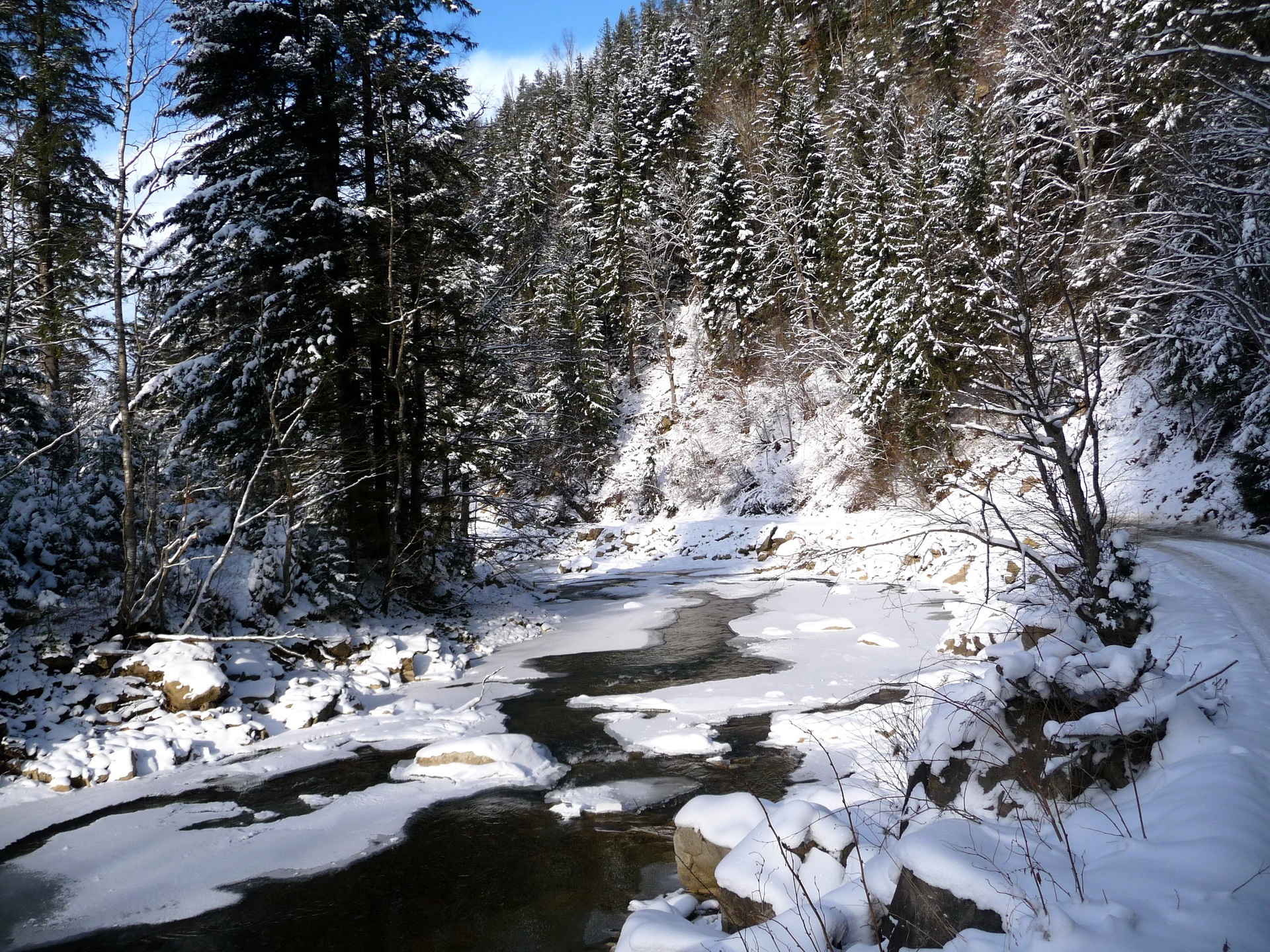 116637壁紙のダウンロード冬, 自然, 川, 木, 雪, 食べた, ウクライナ, カルパチア, カルパティア山脈-スクリーンセーバーと写真を無料で