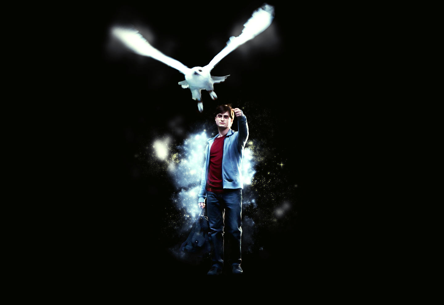 owl, daniel radcliffe, movie, harry potter and the deathly hallows: part 1, harry potter