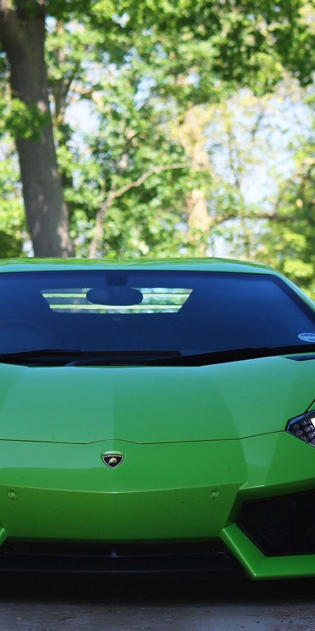 Lamborghini авентадор зеленый