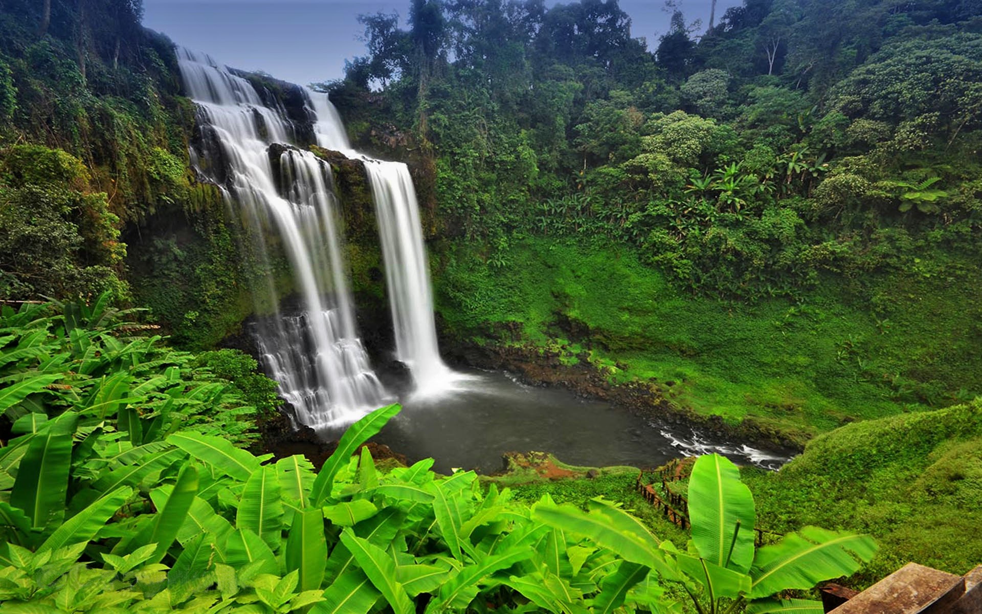 jungle, earth, waterfall, cambodia, rainforest, tree, waterfalls