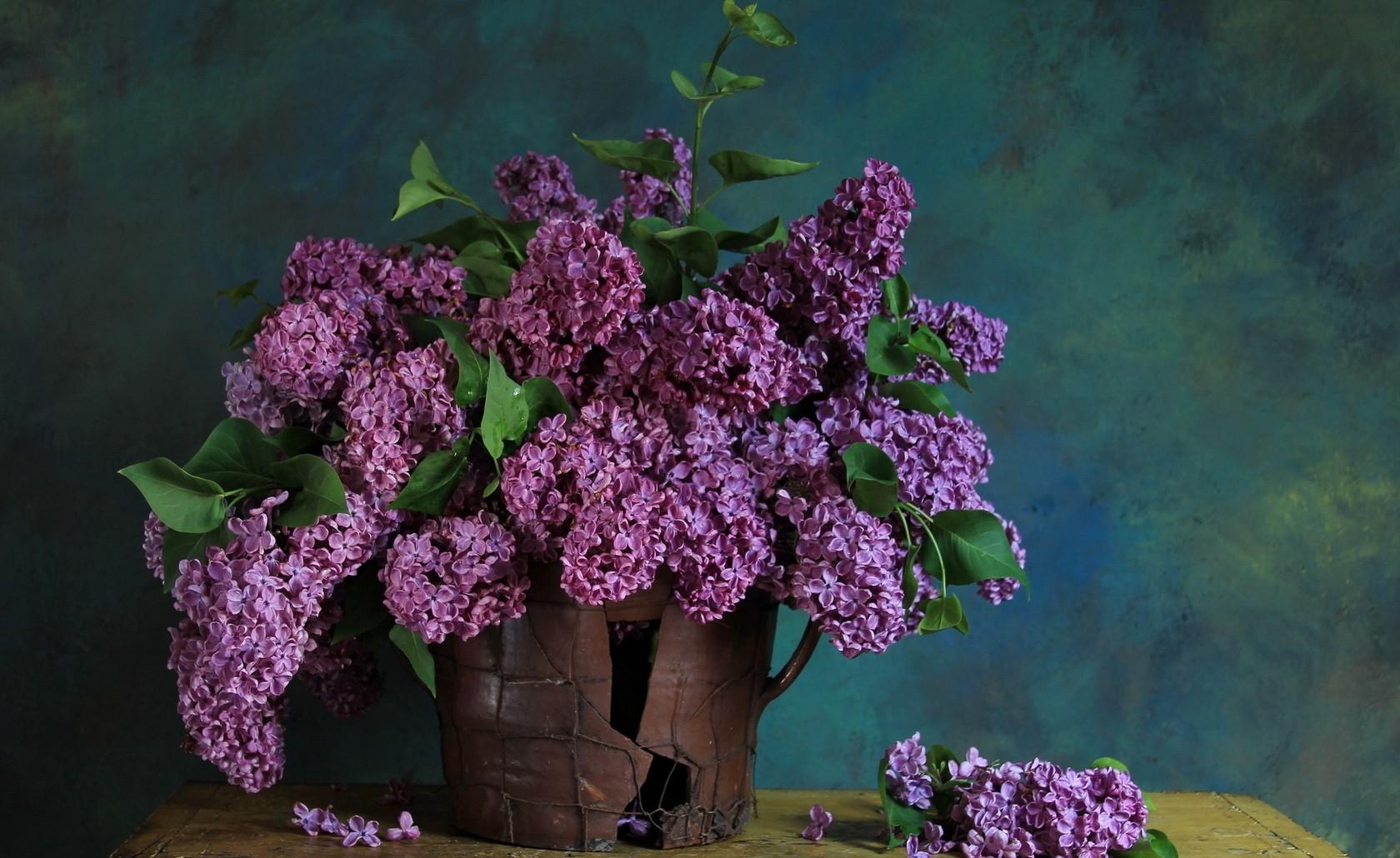 Free download wallpaper Flowers, Lilac, Branch, Bouquet, Leaves, Spring on your PC desktop