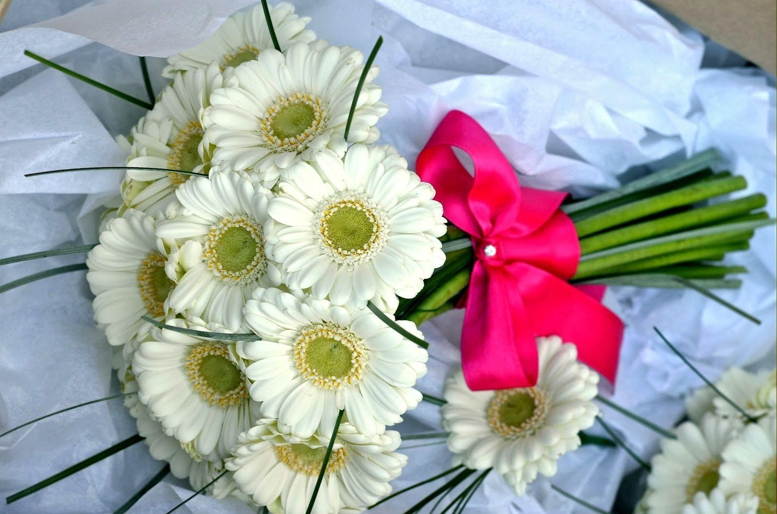 flowers, gerberas, white, bouquet, bow, handsomely, it's beautiful, snow white mobile wallpaper