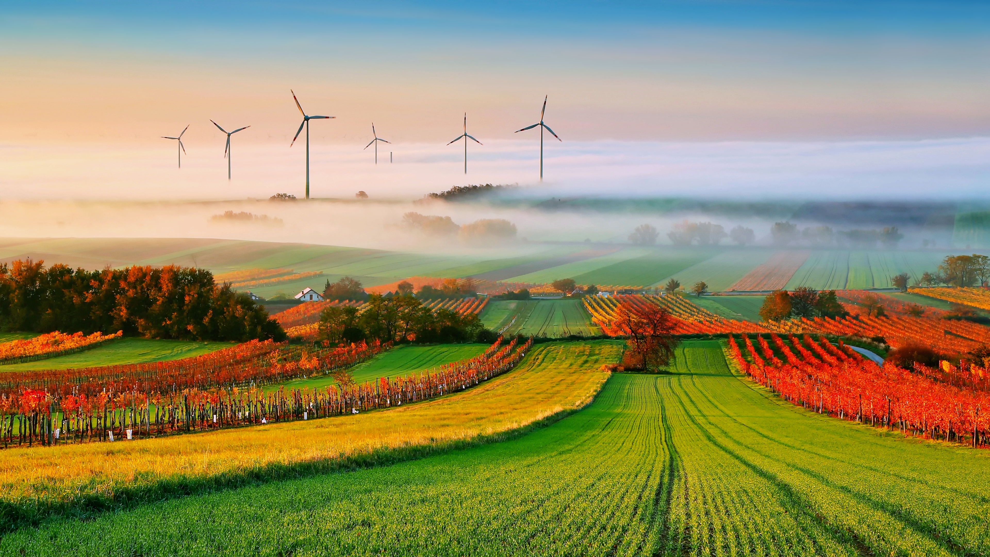 android nature, man made, field, landscape, wind turbine, fog