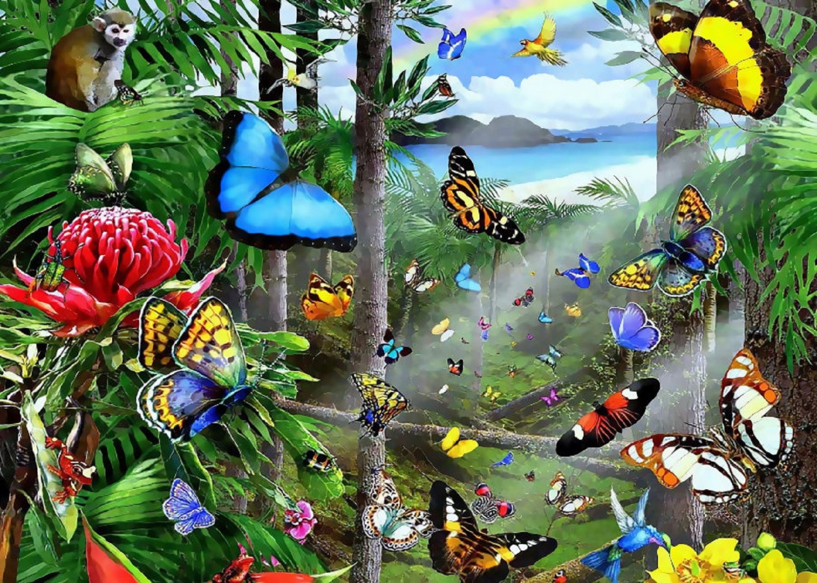 jungle, butterfly, artistic, colors, monkey, rainforest, tree Free Stock Photo