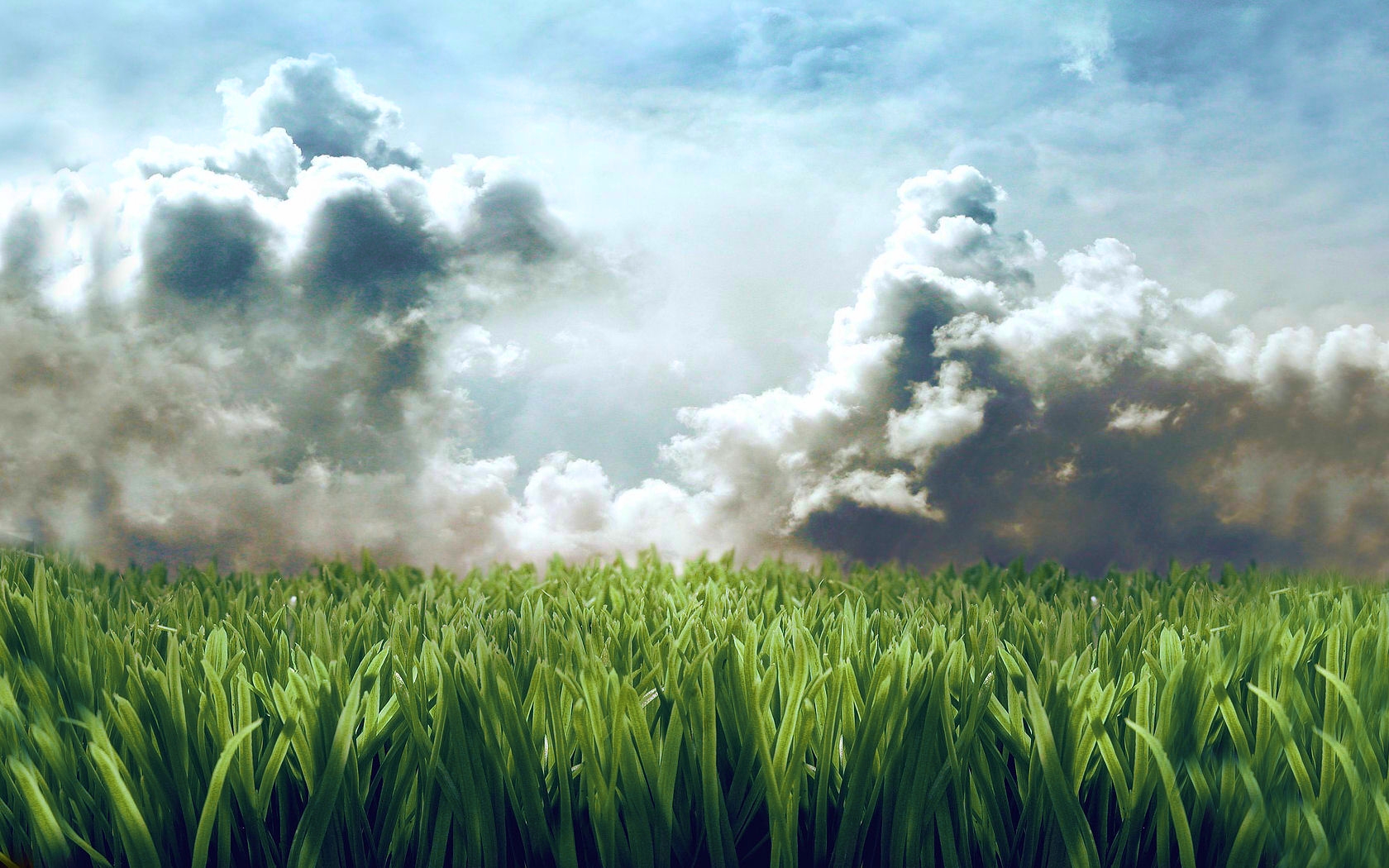 Облака трава