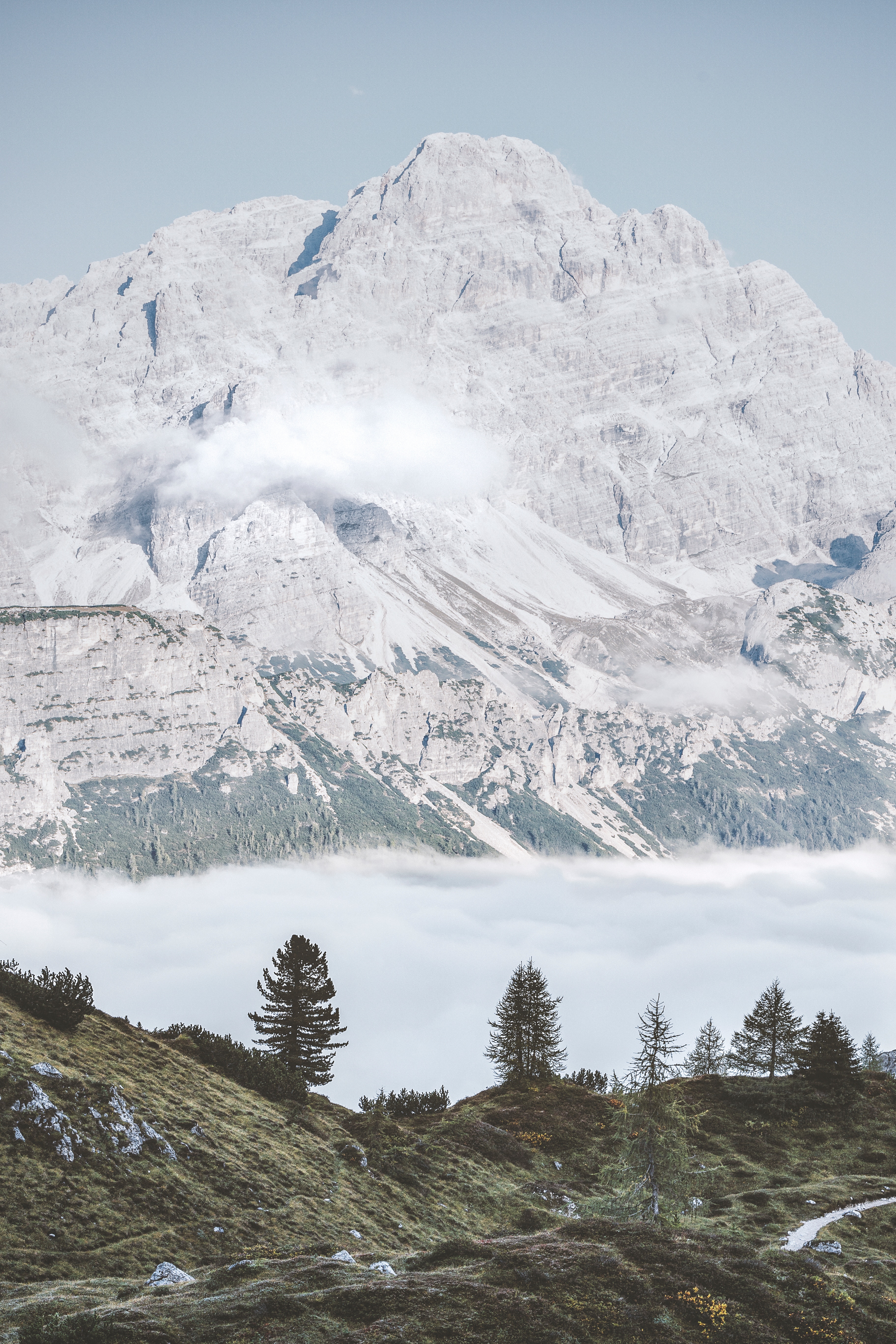 mountains, nature, trees, fog, hills, foot Desktop home screen Wallpaper