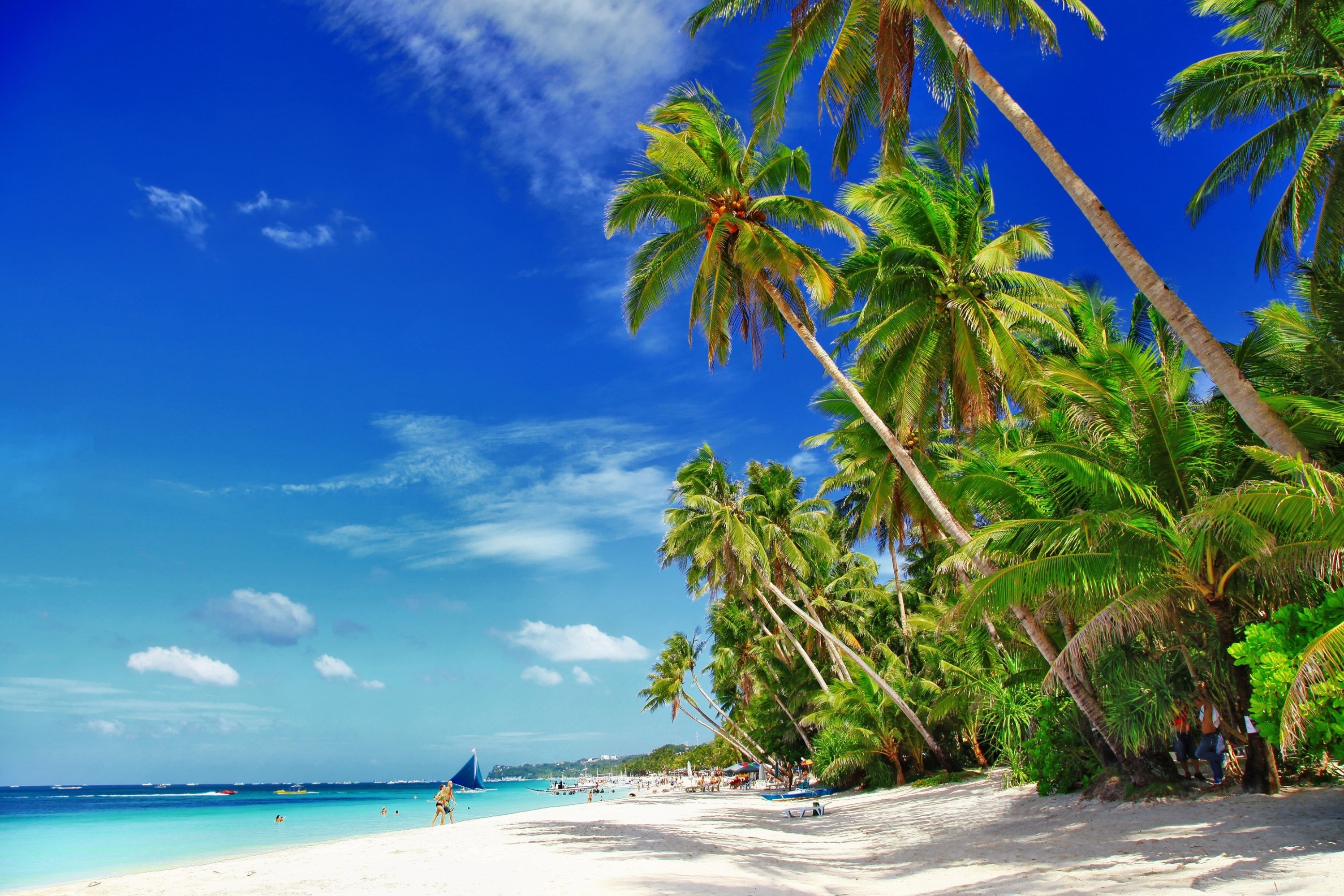 663396 télécharger le fond d'écran mer, photographie, plage, palmier, philippines, tropiques - économiseurs d'écran et images gratuitement