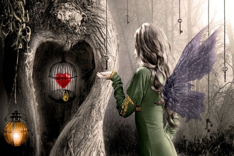 artistic, love, cage, heart, fairy High Definition image