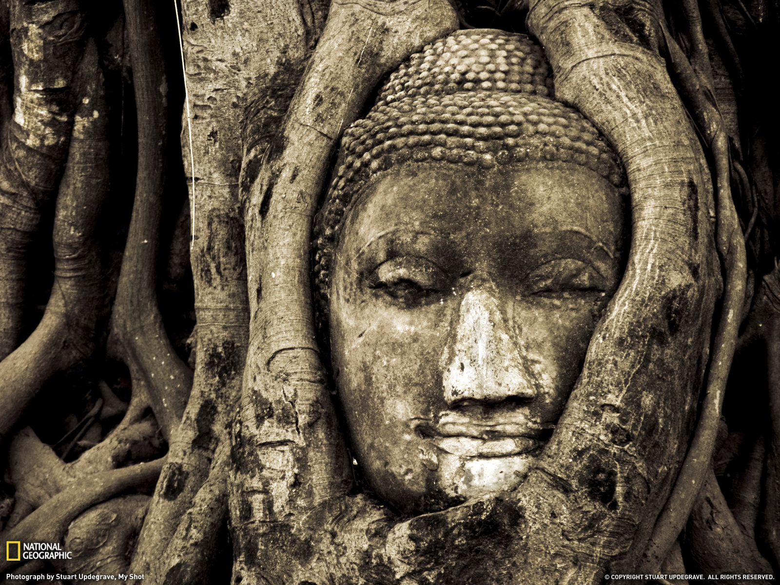 india, buddha, religious HD wallpaper