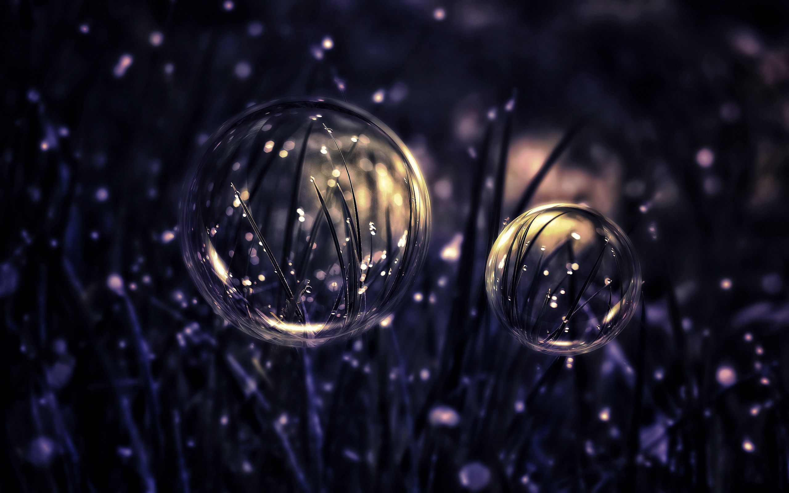 drops, dark, bubbles, grass 4K