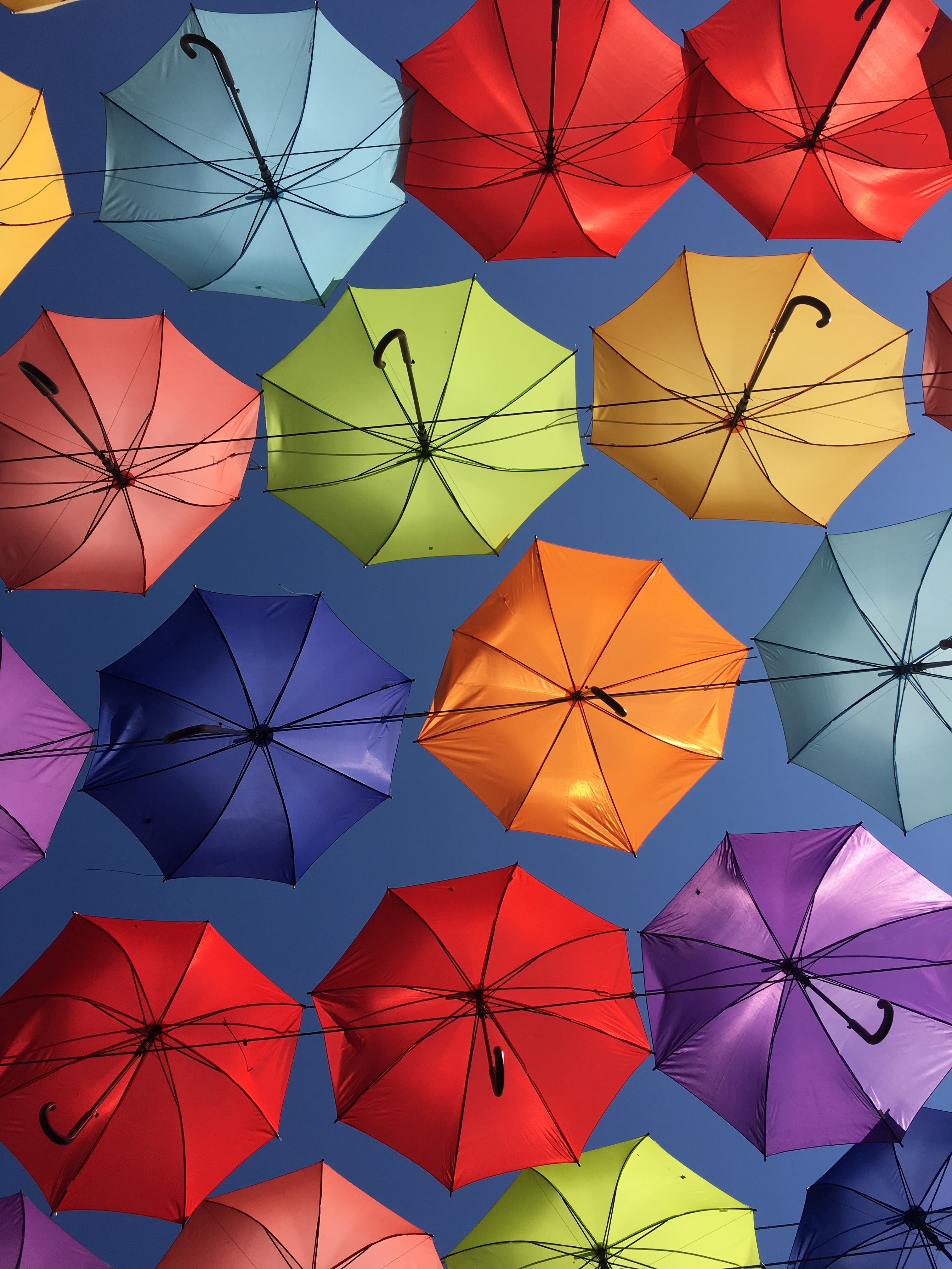 116615 завантажити картинку різне, різнобарвний, строката, декорація, орден, парасолька, вид знизу, парасольки, парасолі - шпалери і заставки безкоштовно