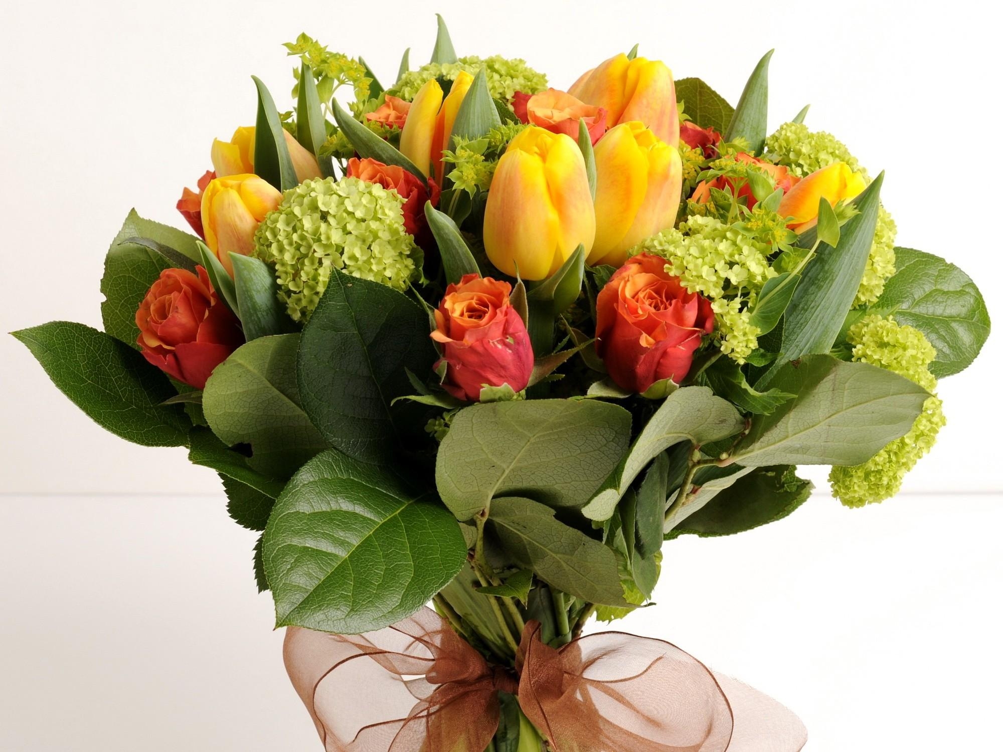flowers, roses, tulips, bouquet, bow, hydrangeas