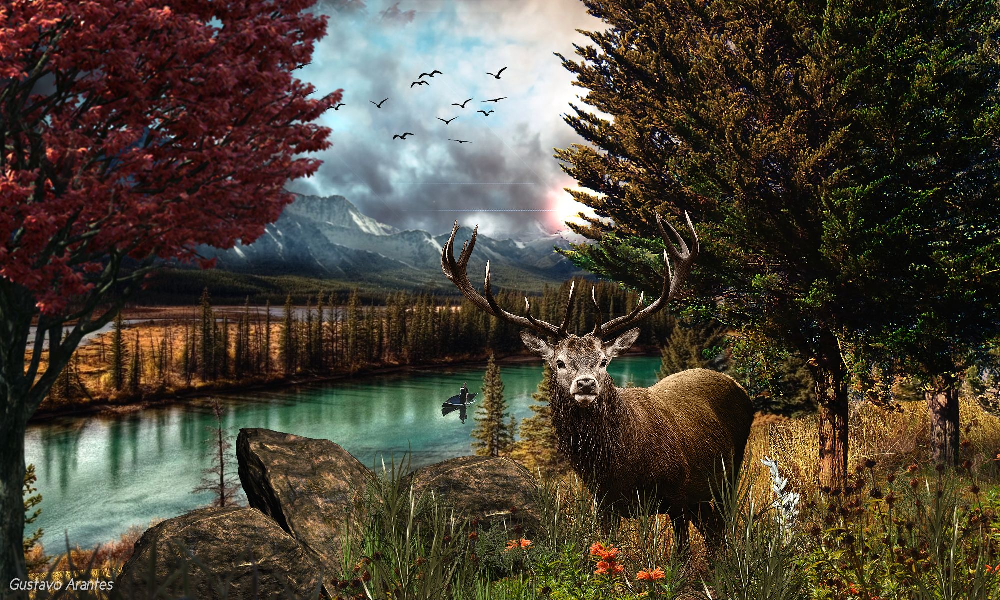 793639壁紙のダウンロード動物, 鹿, バック, 森, 風景, 山-スクリーンセーバーと写真を無料で