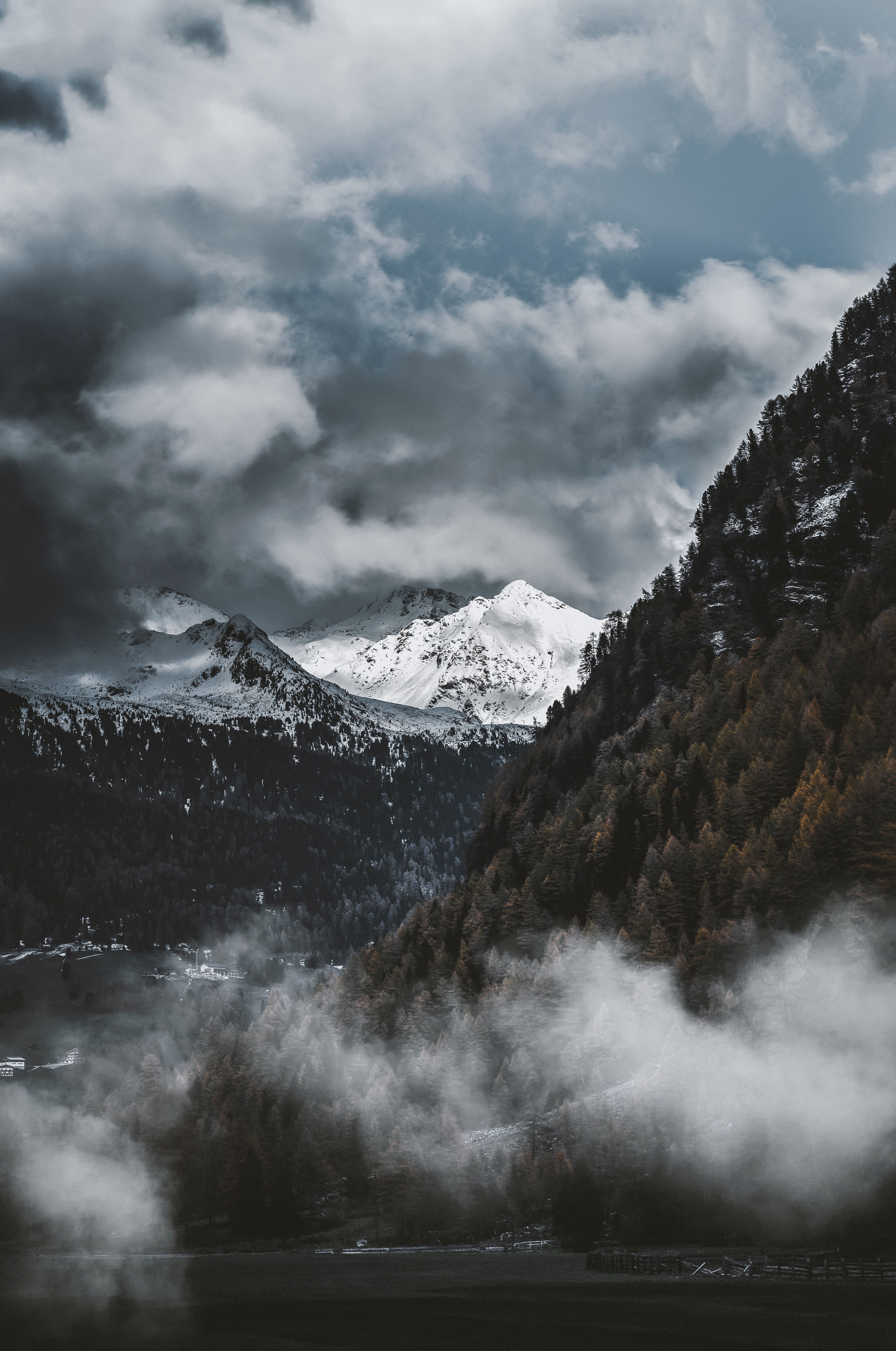 vertical wallpaper nature, trees, mountains, vertex, fog, tops, snow covered, snowy