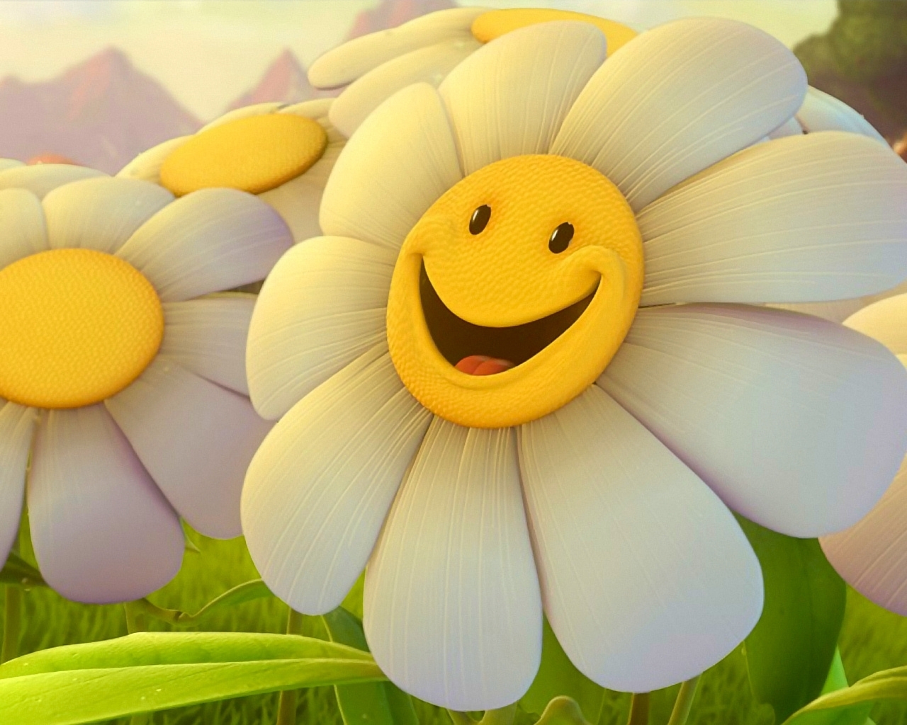 flowers, funny, camomile, plants, yellow wallpapers for tablet