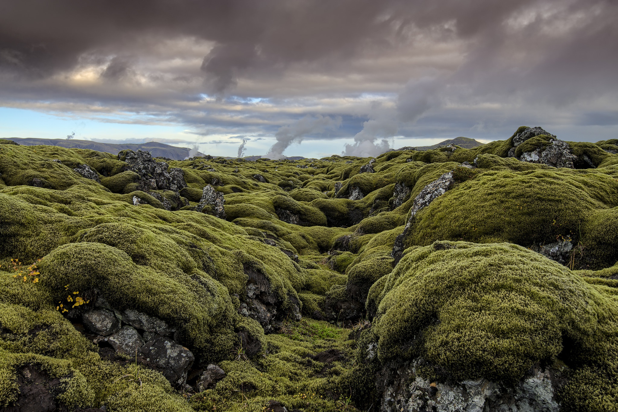 Mos clouds. Исландия мох. Моховые поля в Исландии. Исландия ландшафт.