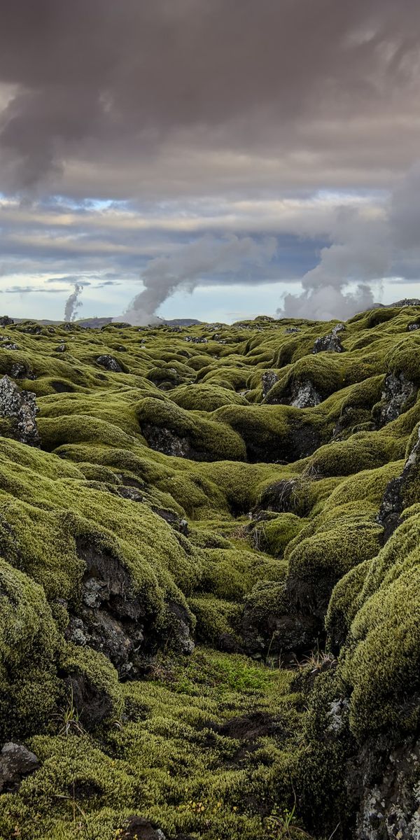 Mos clouds. Исландия. Природа Исландии обои. Исландия рыболовство. Amazing Moss Earth.