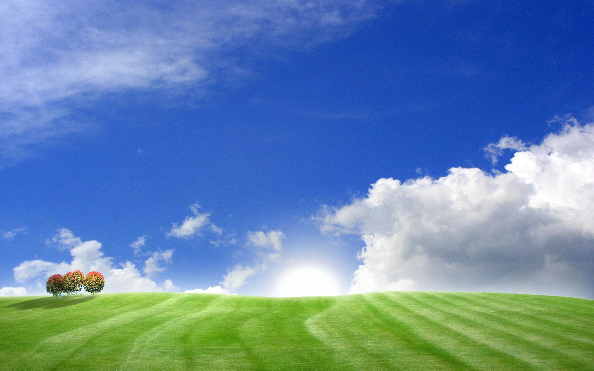 141723 Hintergrundbild herunterladen natur, bäume, sky, clouds, der tag, tag, wiesen - Bildschirmschoner und Bilder kostenlos