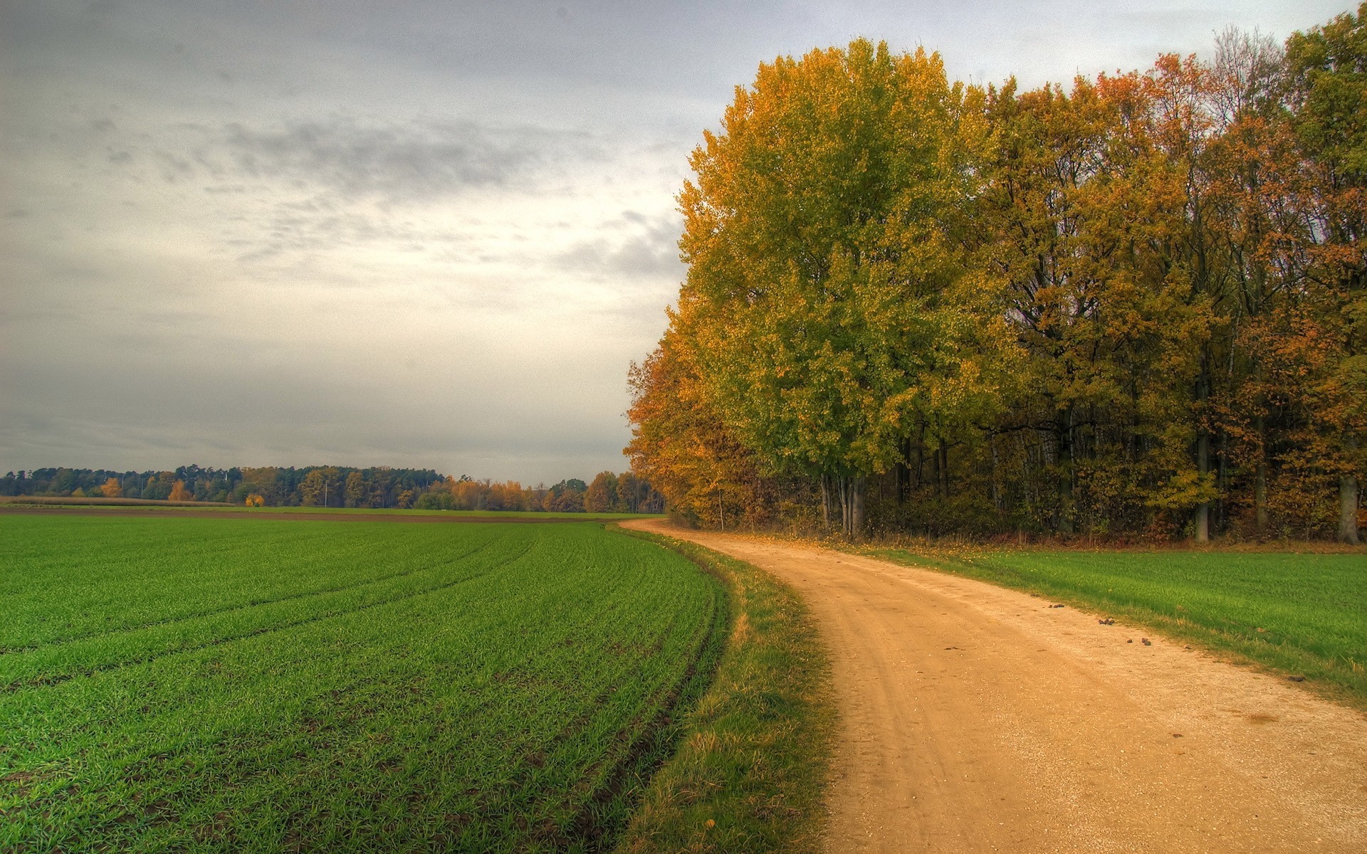 Laden Sie das Roads, Landschaft, Bäume, Felder-Bild kostenlos auf Ihren PC-Desktop herunter