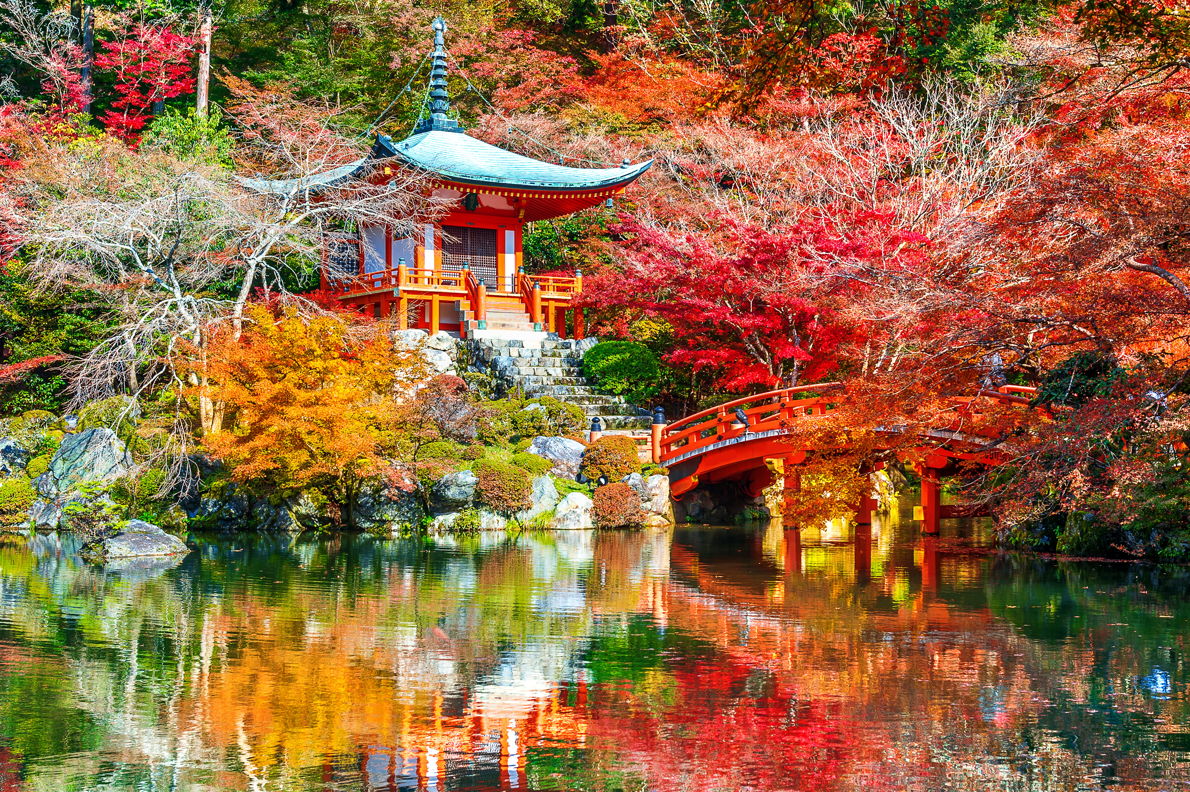 493206 télécharger le fond d'écran temples, religieux, daigo ji, pont, automne, japon, kyoto, lac, la nature, parc - économiseurs d'écran et images gratuitement