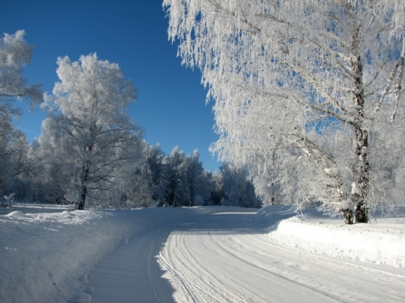 landscape, winter, blue QHD
