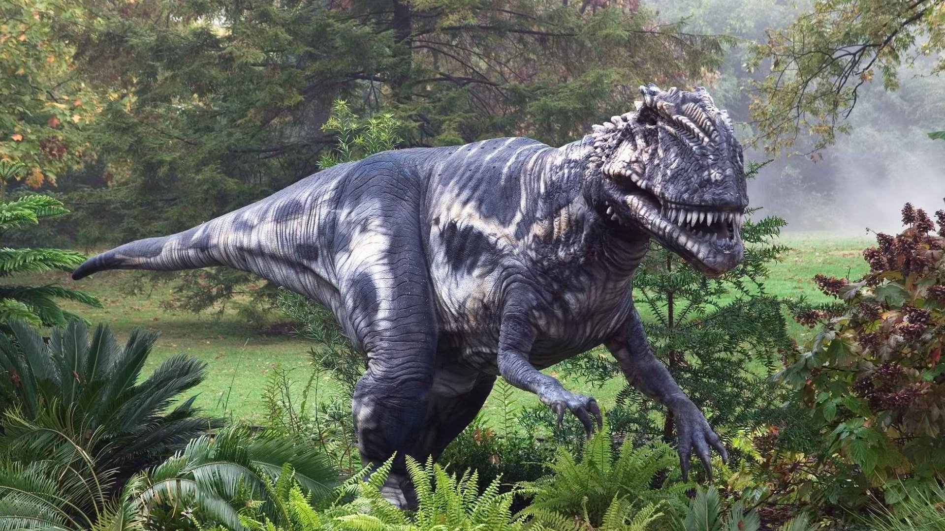 267093 Bild herunterladen tiere, tyrannosaurus rex, dinosaurier - Hintergrundbilder und Bildschirmschoner kostenlos