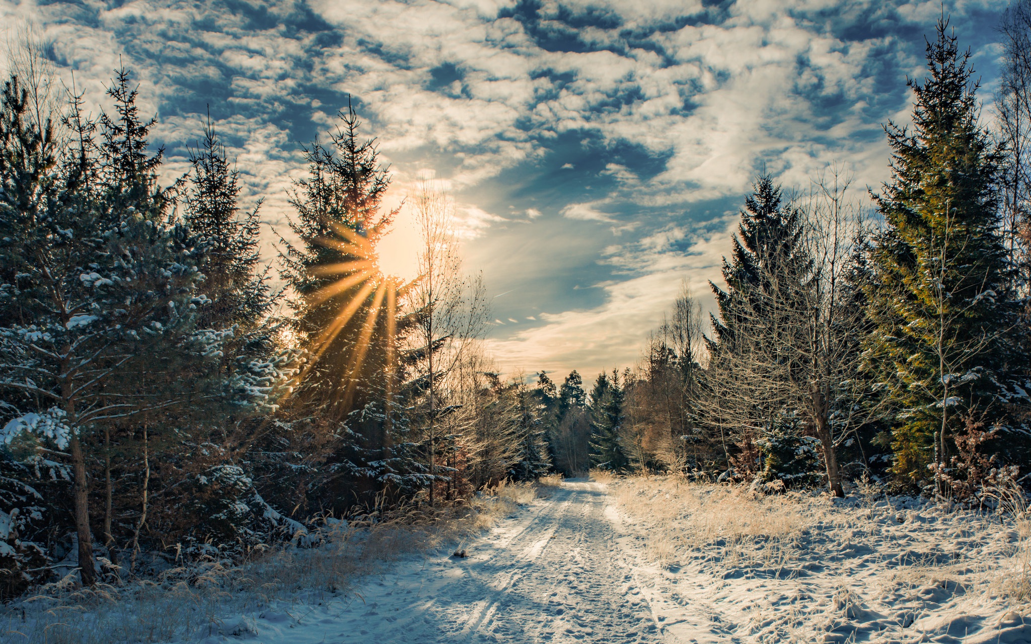 Зимнее утро дорога. Зима в лесу. Зимняя дорога в лесу. Зима солнце. Зимний лес солнце.