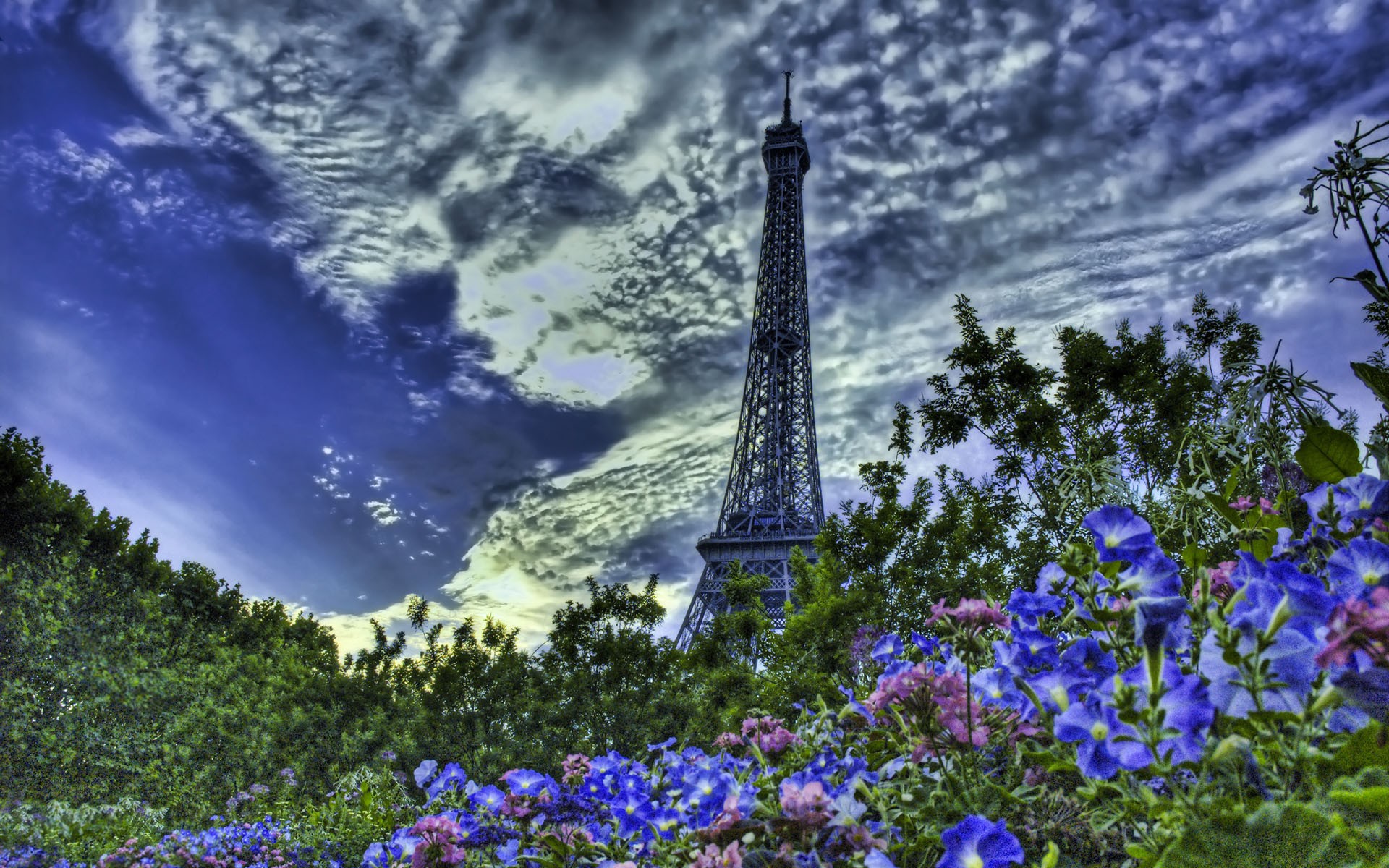 1436281 Protetores de tela e papéis de parede Torre Eiffel em seu telefone. Baixe  fotos gratuitamente
