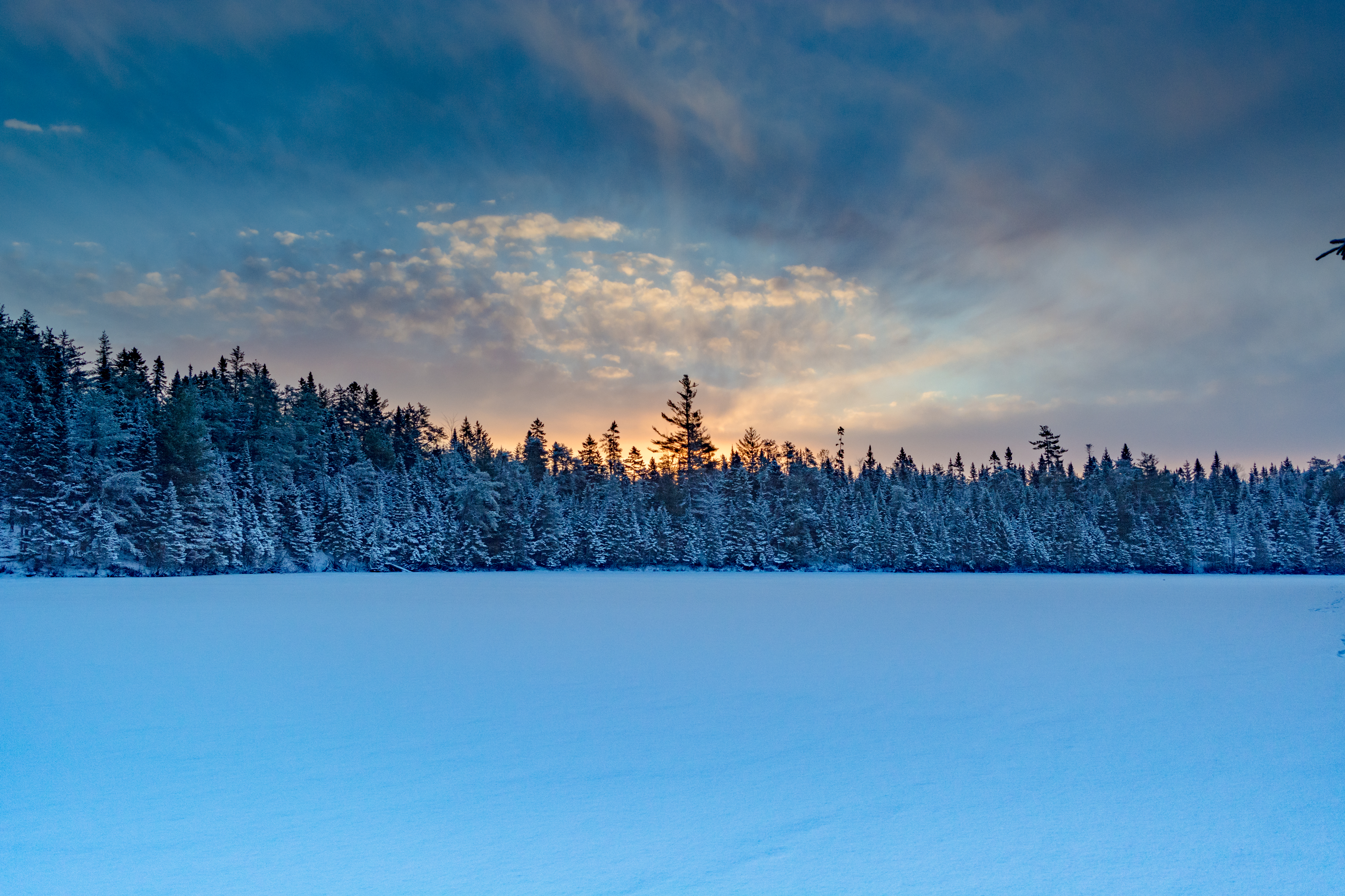 Laden Sie das Natur, Fichte, Fir, Winterwald, Schnee-Bild kostenlos auf Ihren PC-Desktop herunter