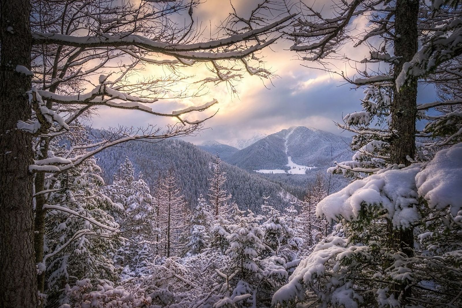 Холодные зимние горы и лес