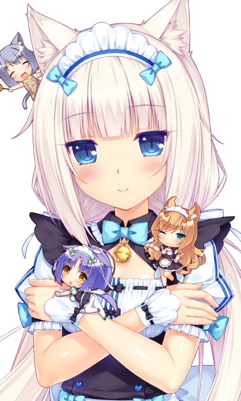 Wallpaper girls, neko, Nekopara for mobile and desktop, section сёнэн,  resolution 2560x1440 - download