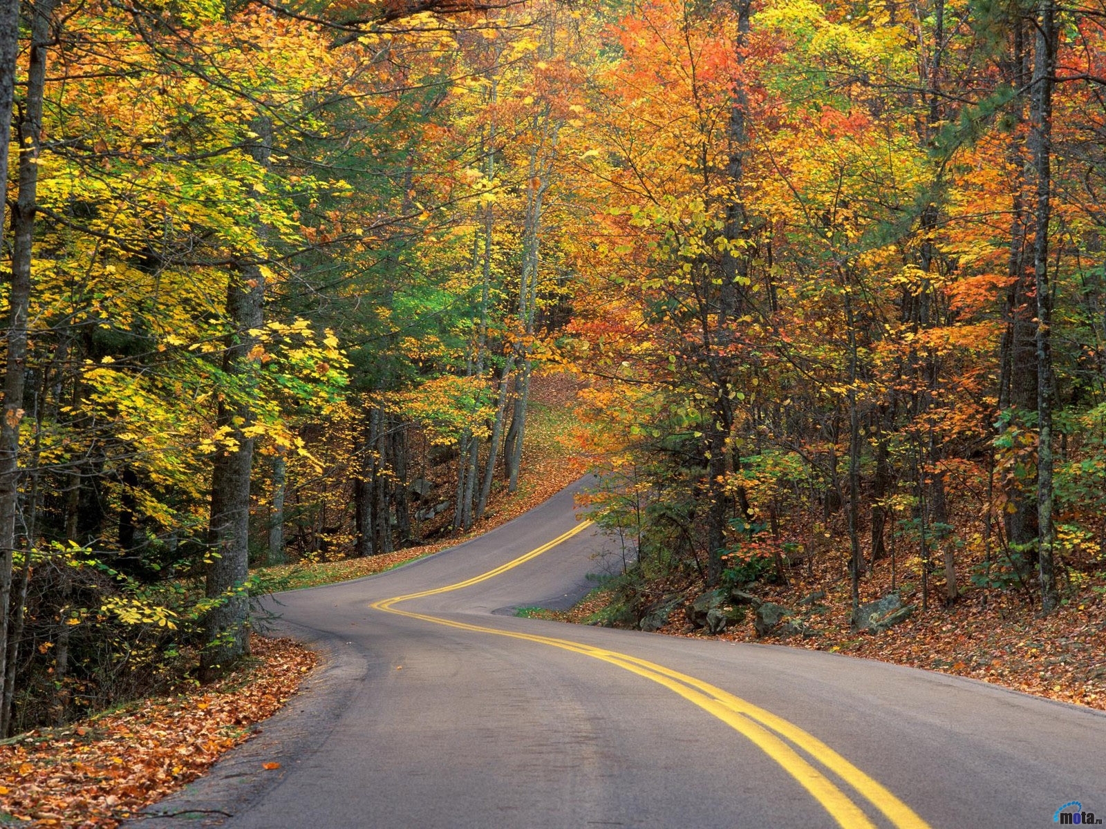 Download mobile wallpaper Roads, Landscape, Autumn for free.