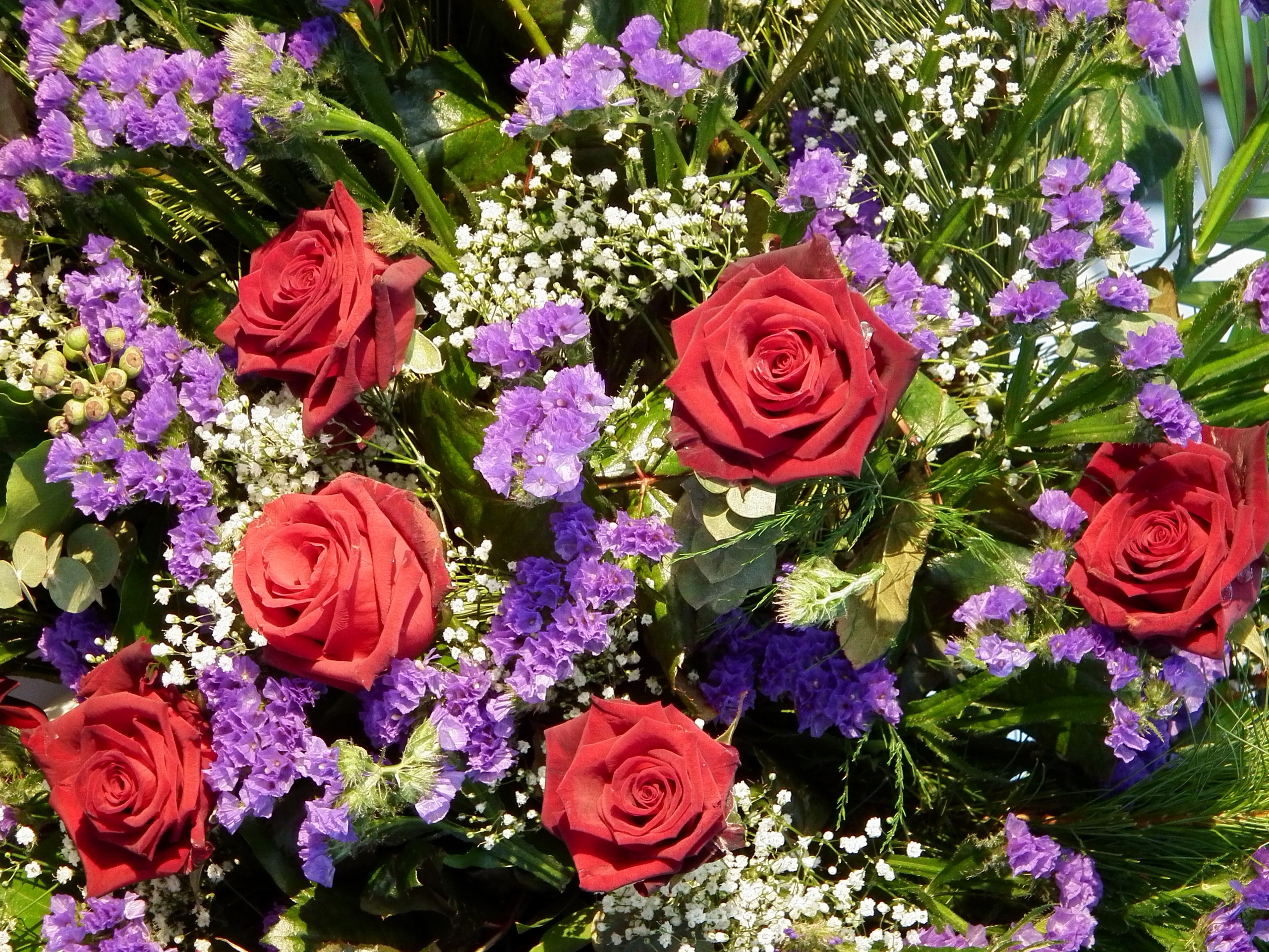 114967 Hintergrundbild herunterladen bouquet, blumen, roses, schönheit, strauß, schleierkraut, gipsophile - Bildschirmschoner und Bilder kostenlos