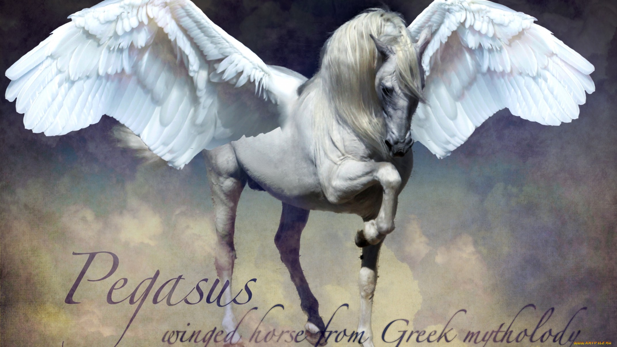 1080p Wallpaper  Pegasus