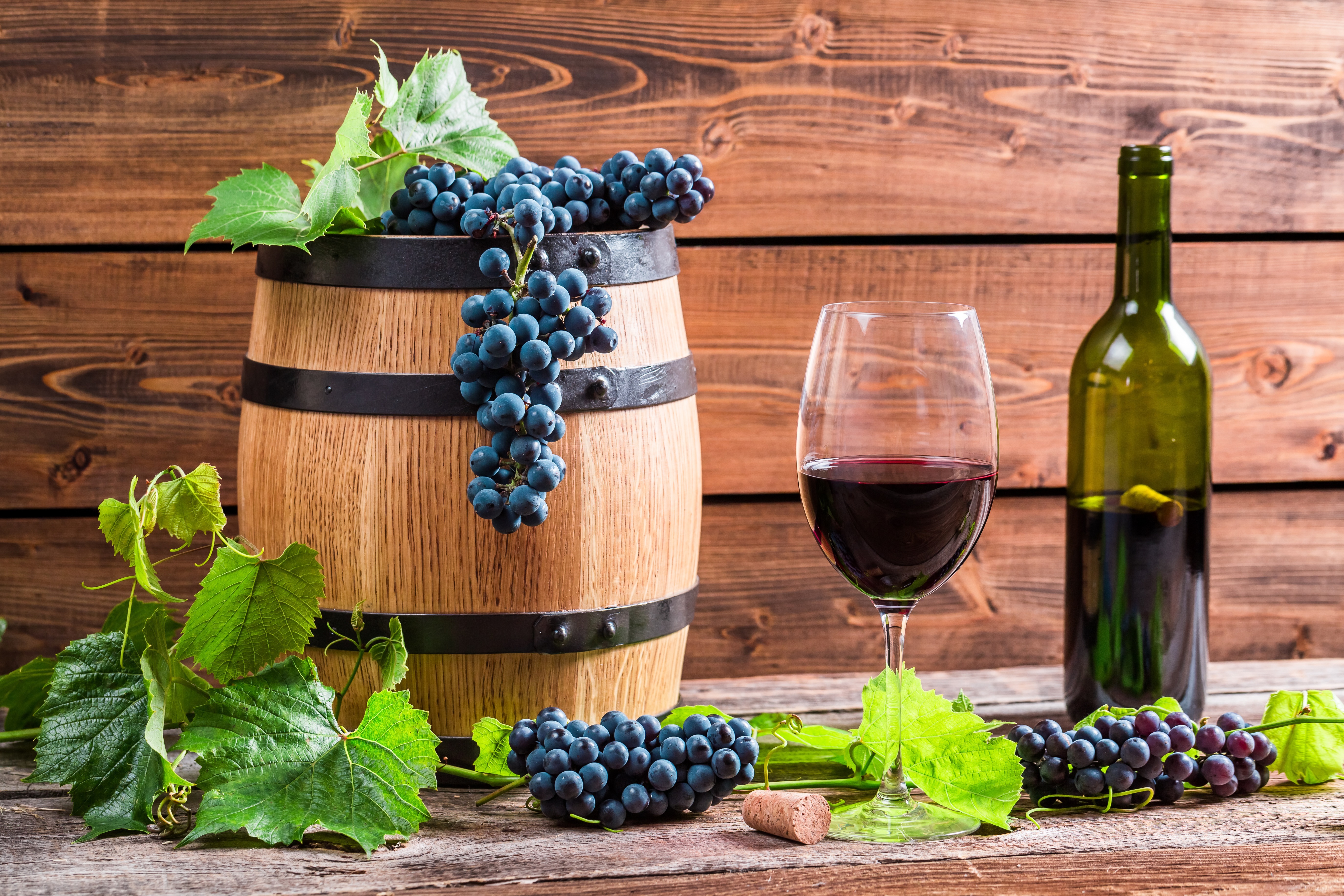 Виноградное вино Шабо