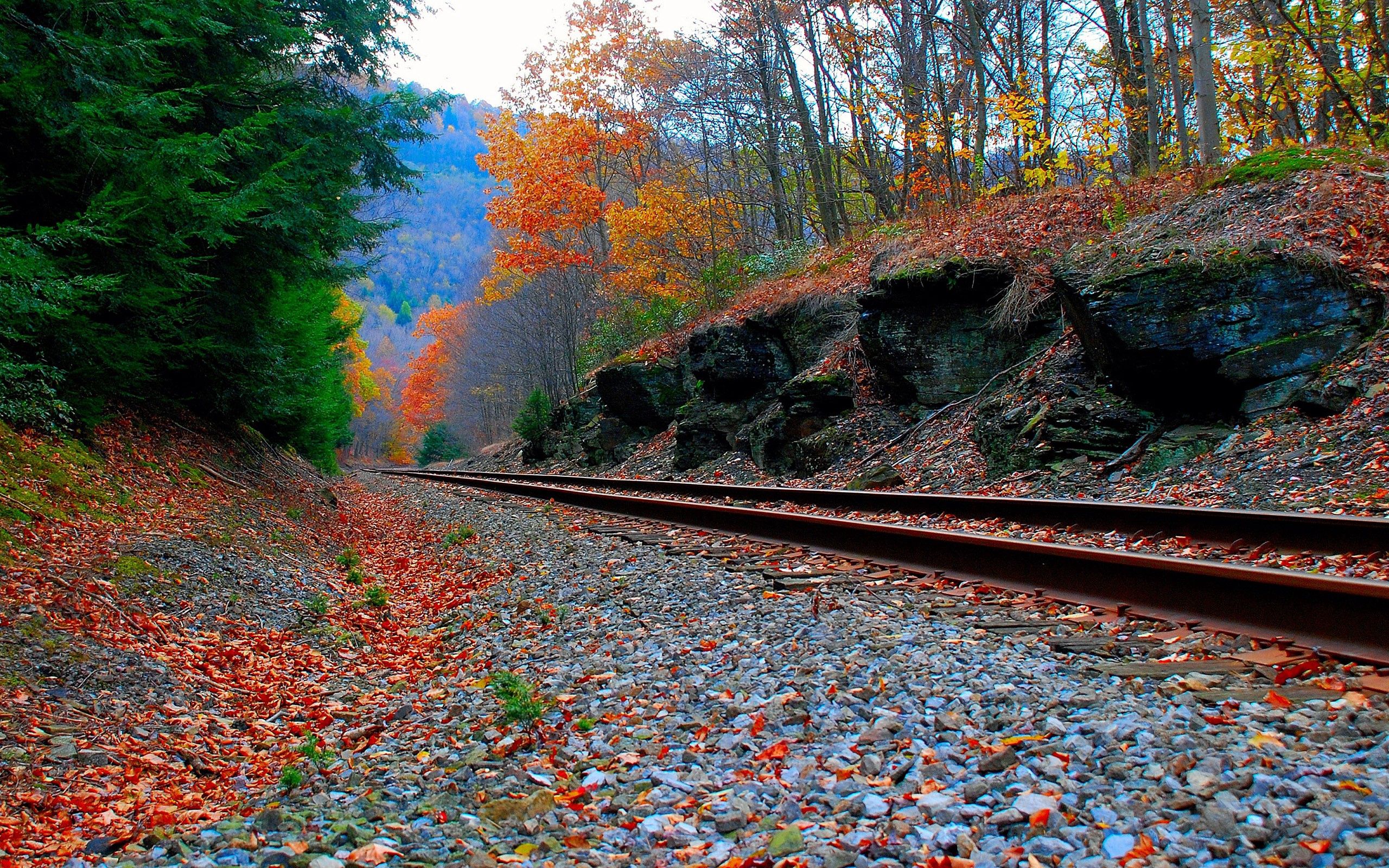 autumn, railway, nature, grass, sky Aesthetic wallpaper