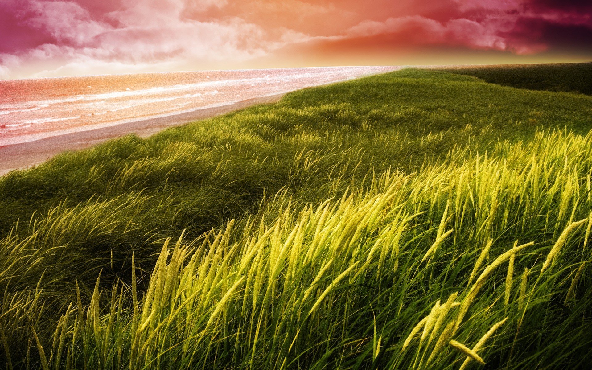Download mobile wallpaper Grass, Landscape, Sea for free.