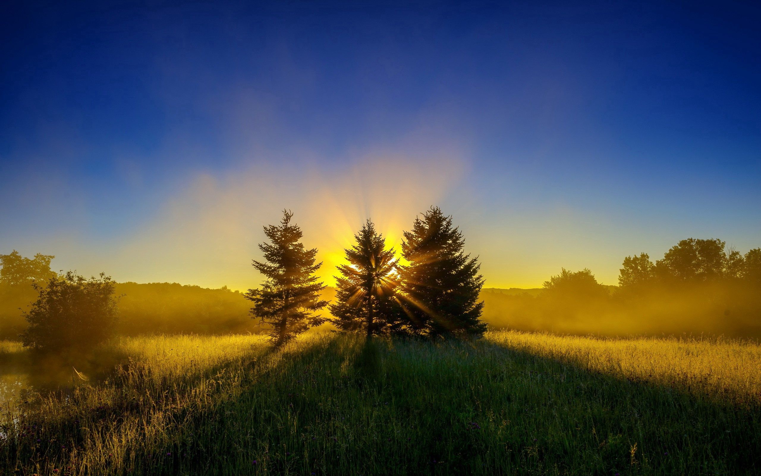 Free download wallpaper Grass, Sky, Trees, Nature, Sunset on your PC desktop