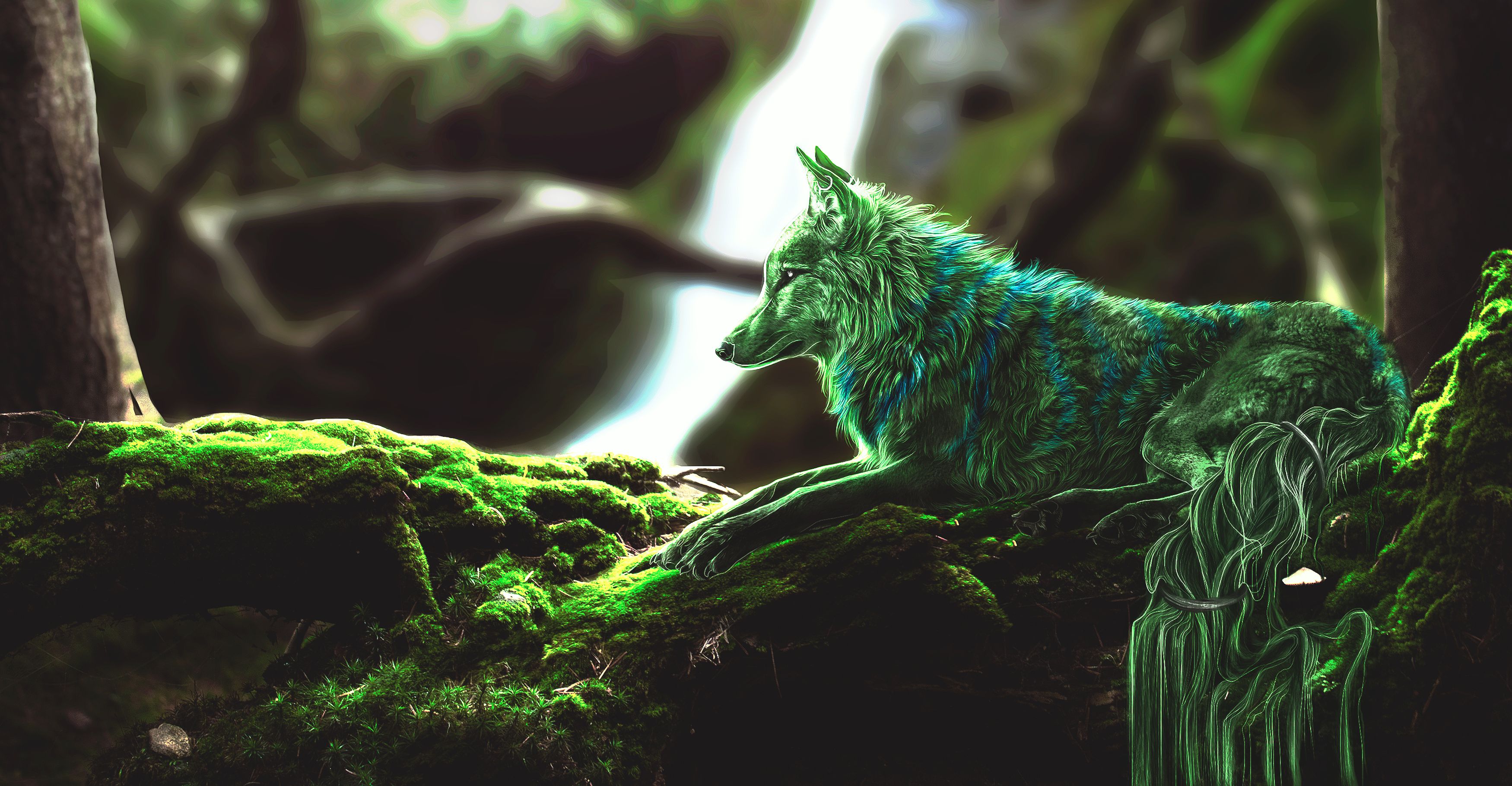 Wolf Wallpapers Download | MobCup