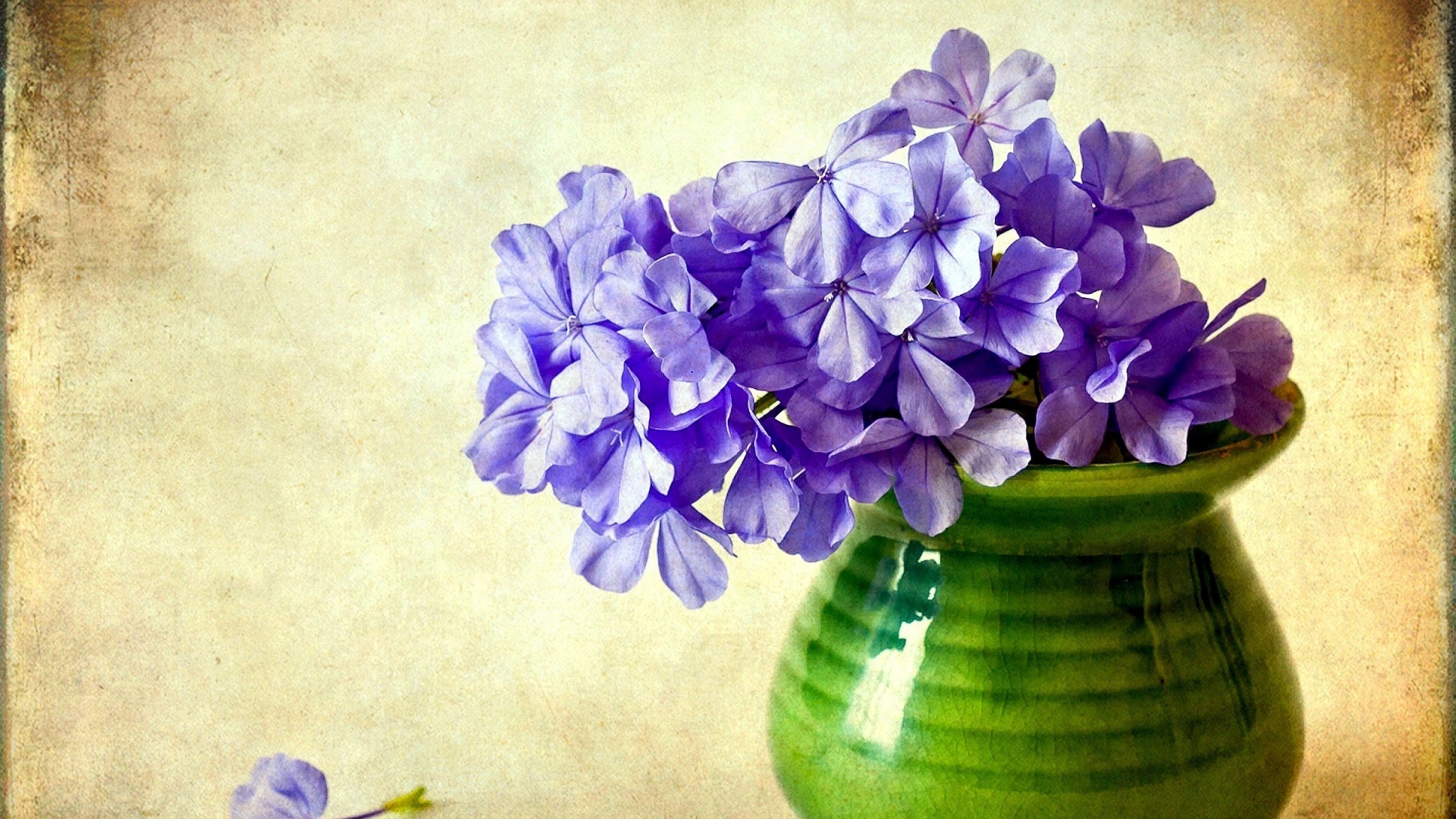 man made, flower, phlox, purple flower, vase, vintage