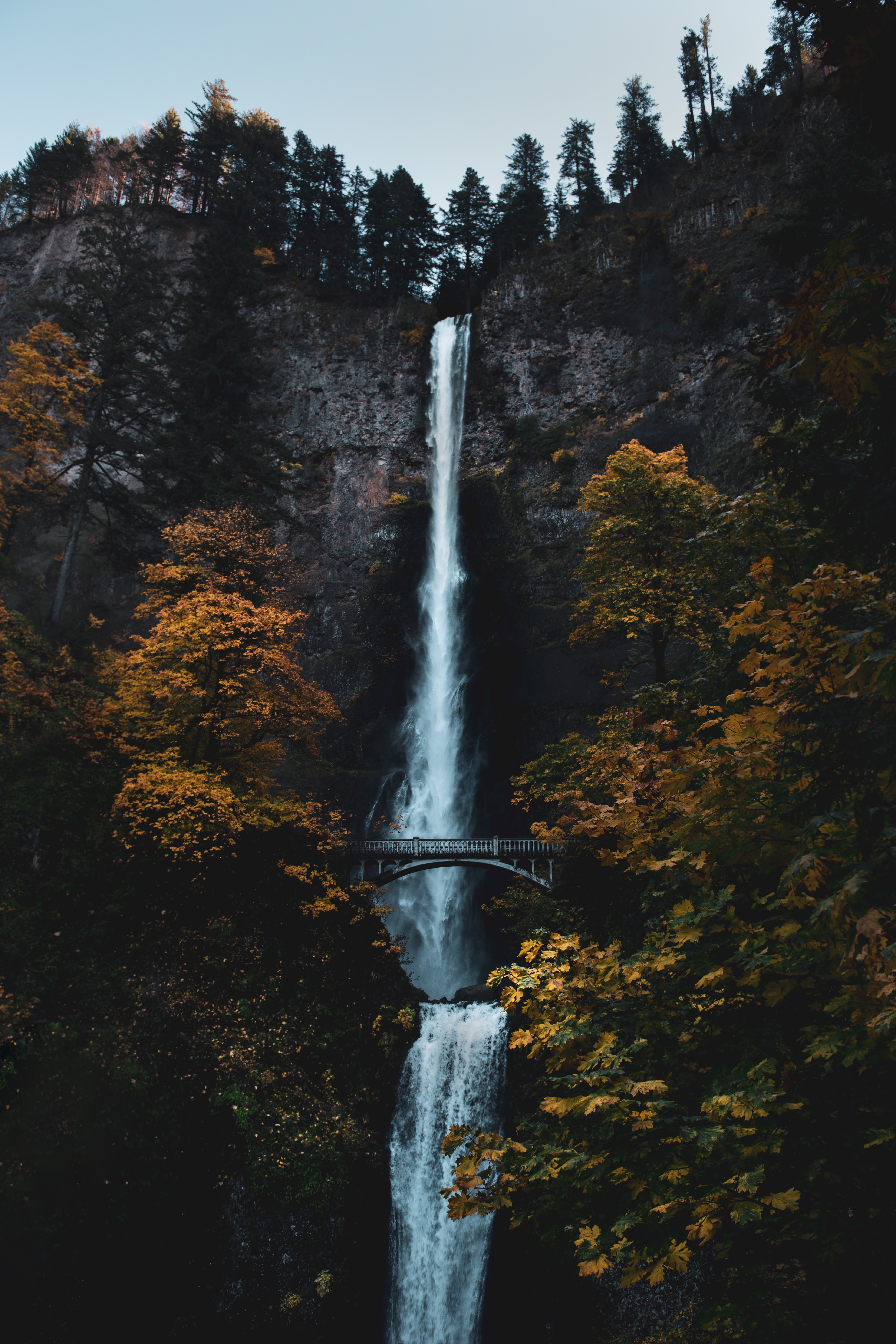 waterfall, nature, trees, rock, break, precipice, bridge