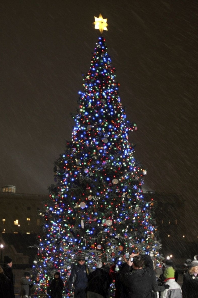 holiday, christmas, christmas lights, christmas tree, christmas ornaments, capitol