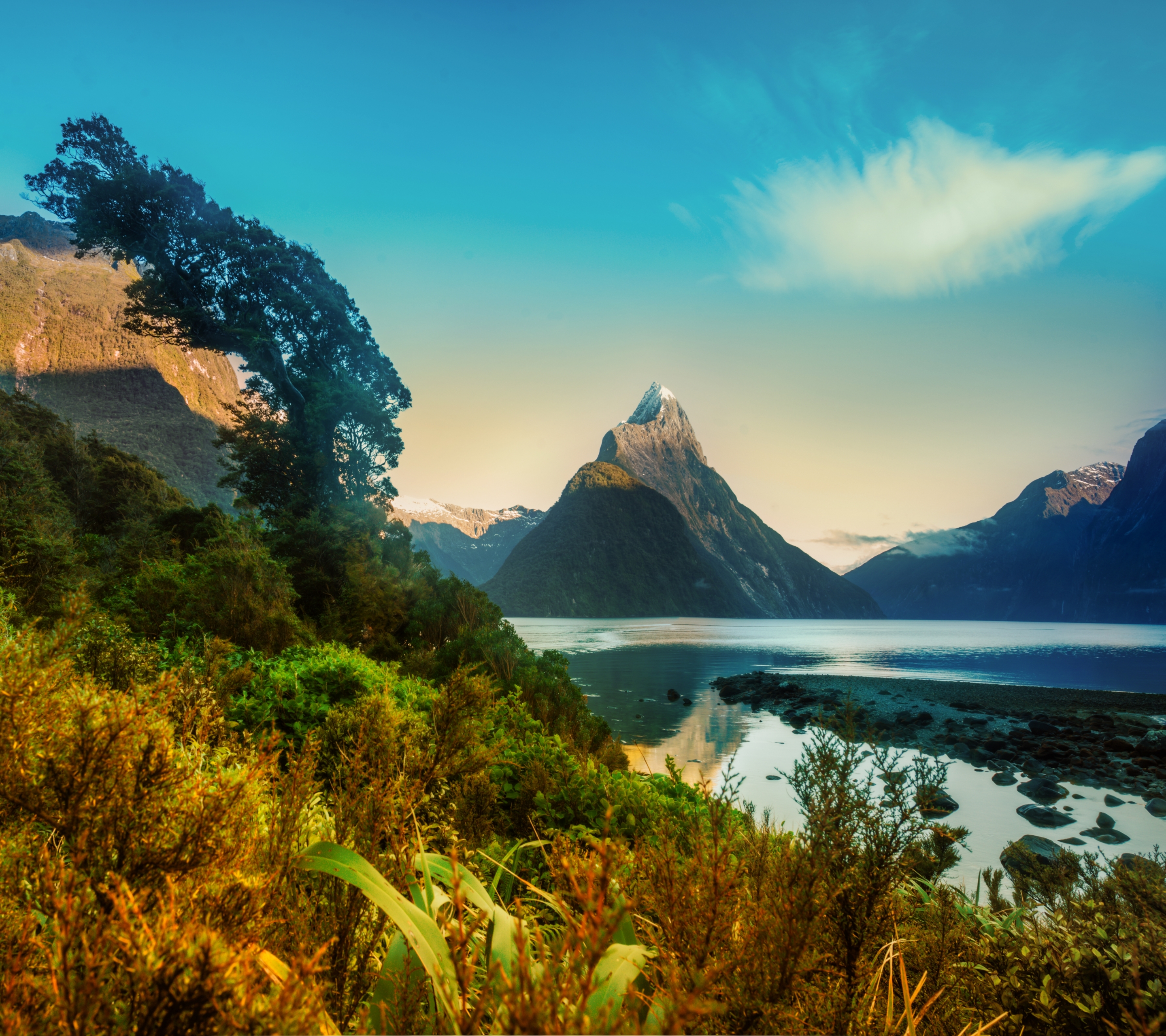 Новая Зеландия природа 8л