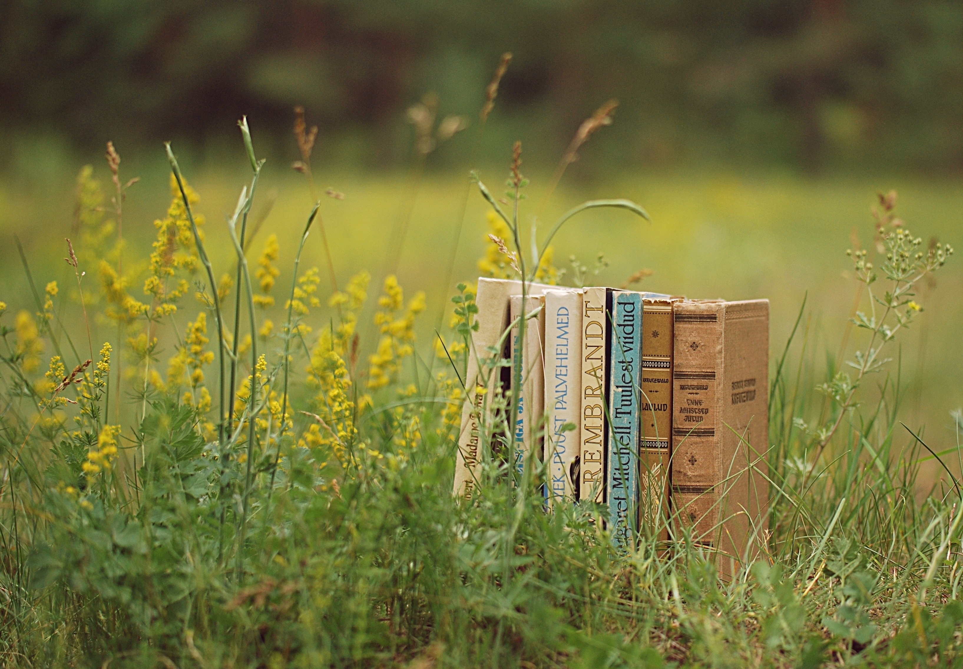 Картинки на рабочий стол книжный формат