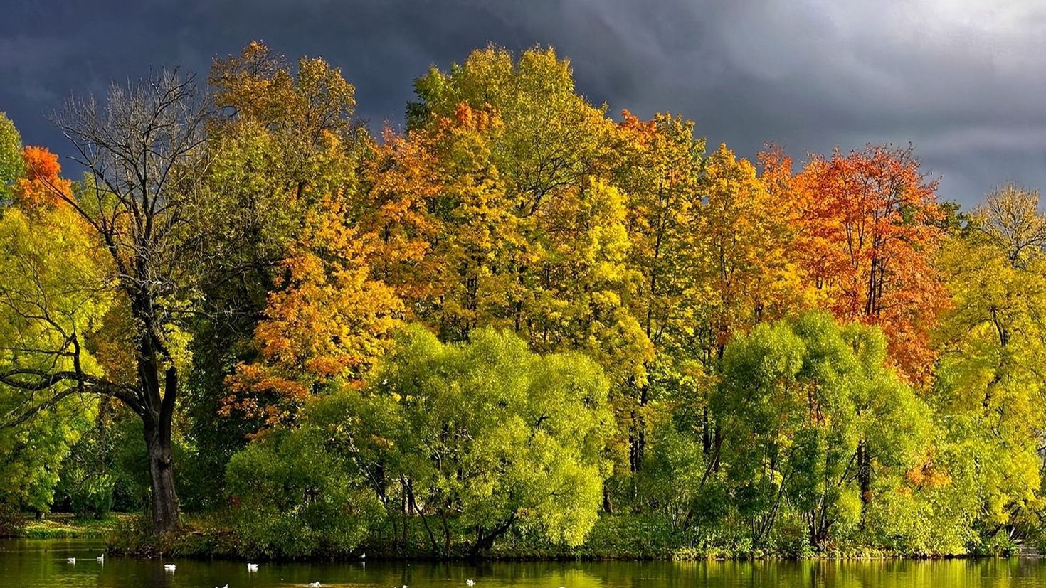 Autumn is beautiful. Ранняя осень. Красивая осень. Осенний пейзаж. Осеннее озеро.