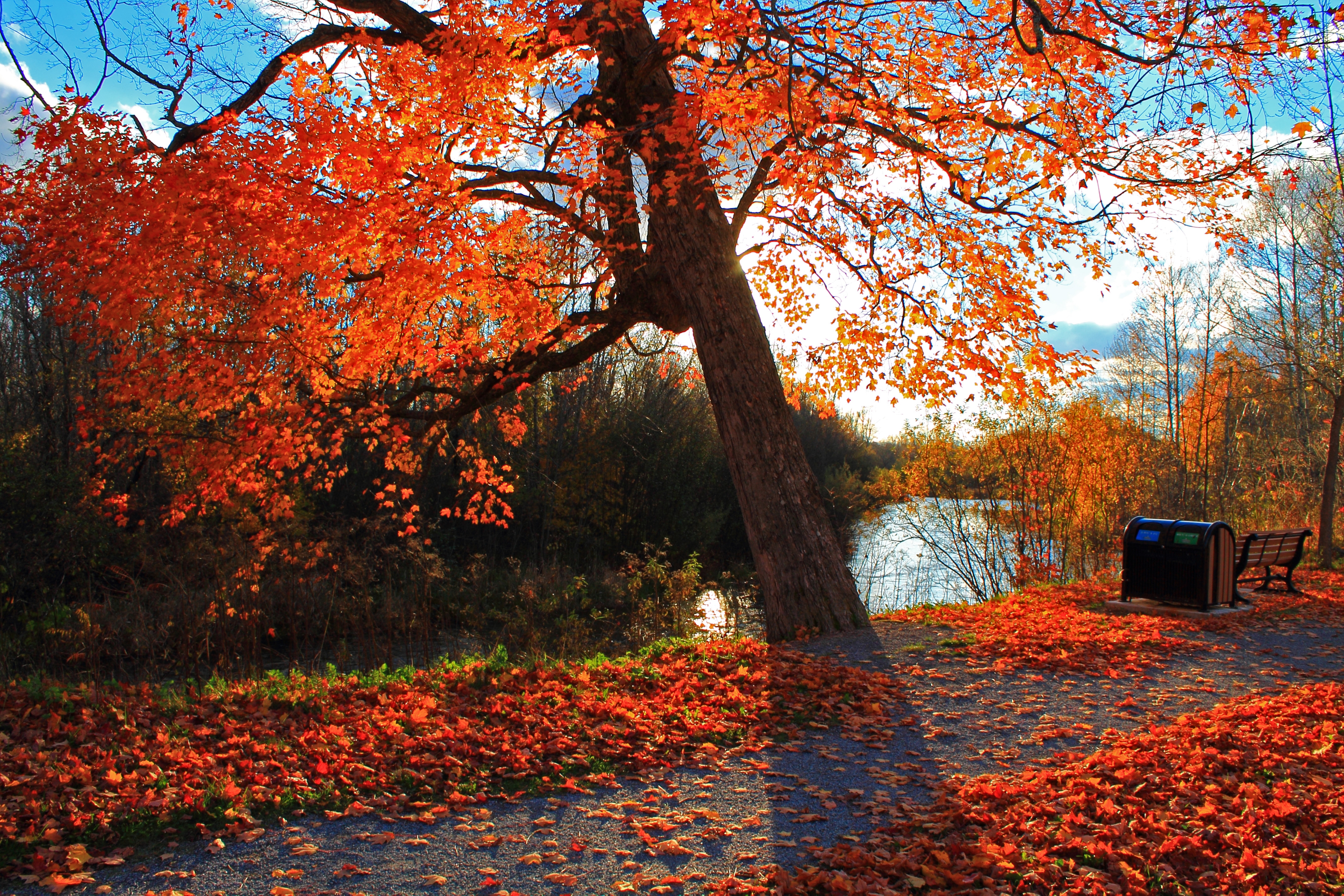 Free download wallpaper River, Bench, Park, Nature, Autumn, Landscape on your PC desktop