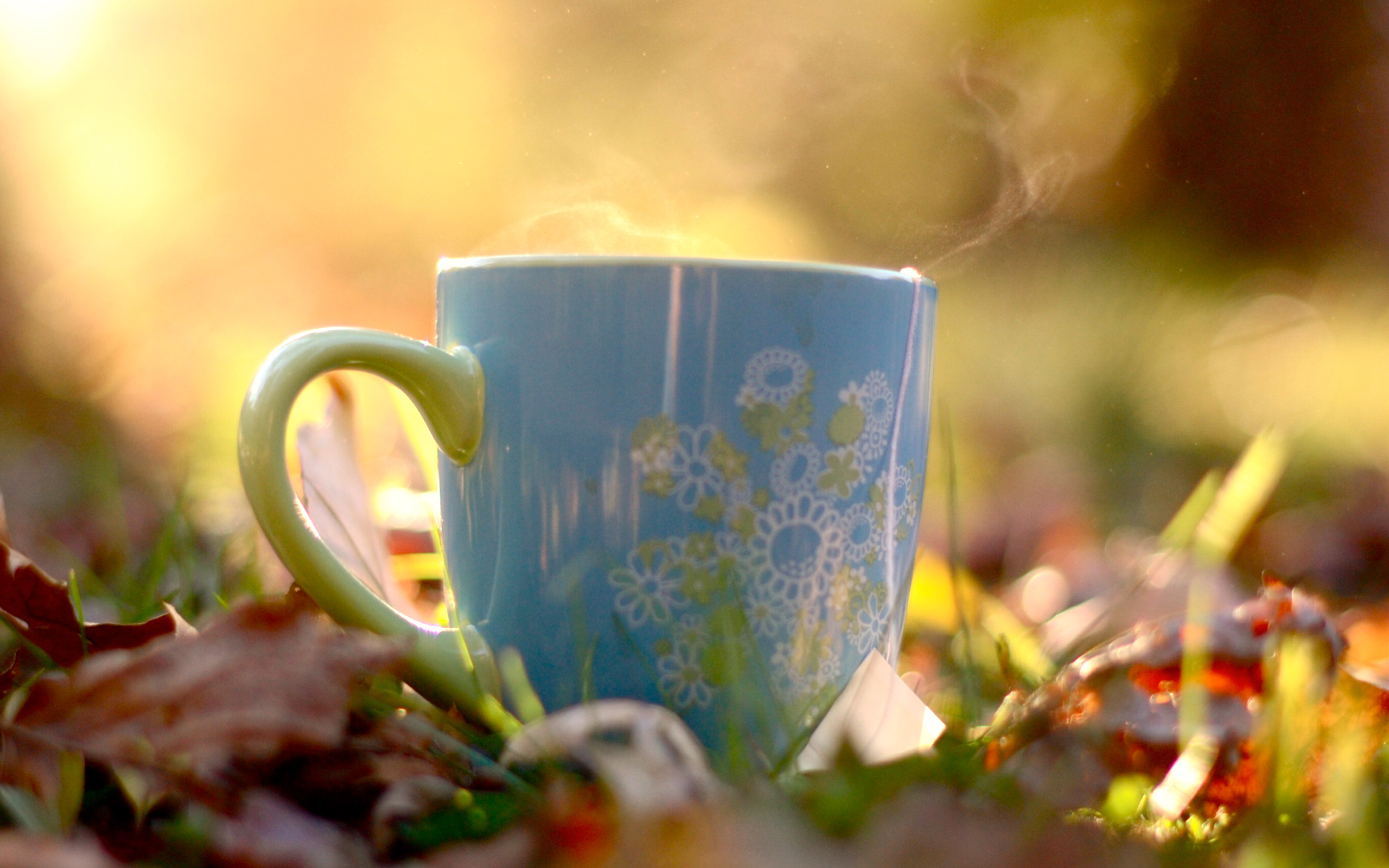Весенняя чашка чая. Чай на природе. Летний чай. Чашка чая. Кружка чая на природе.