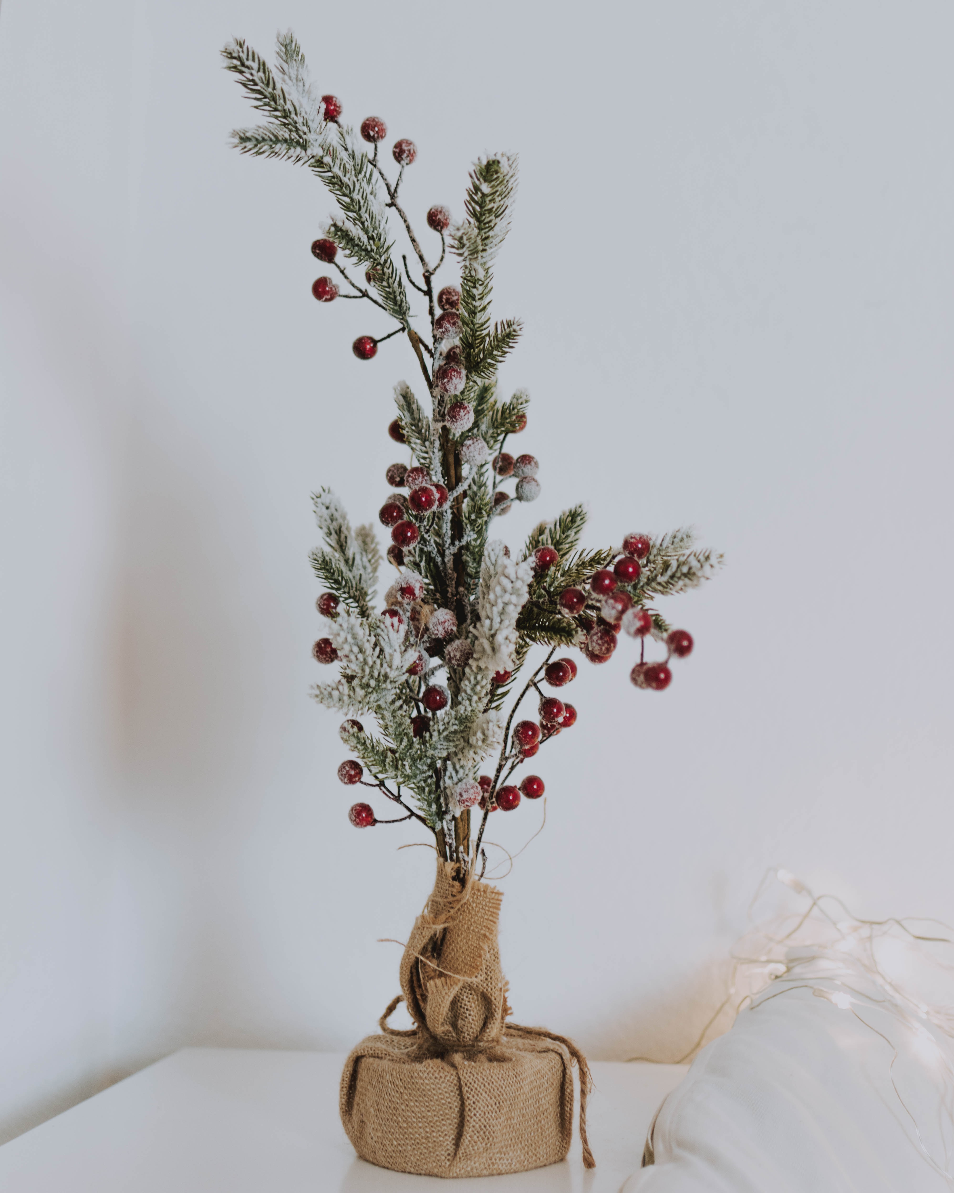 Download mobile wallpaper Needles, Branch, Holidays, New Year, Berries, Christmas for free.