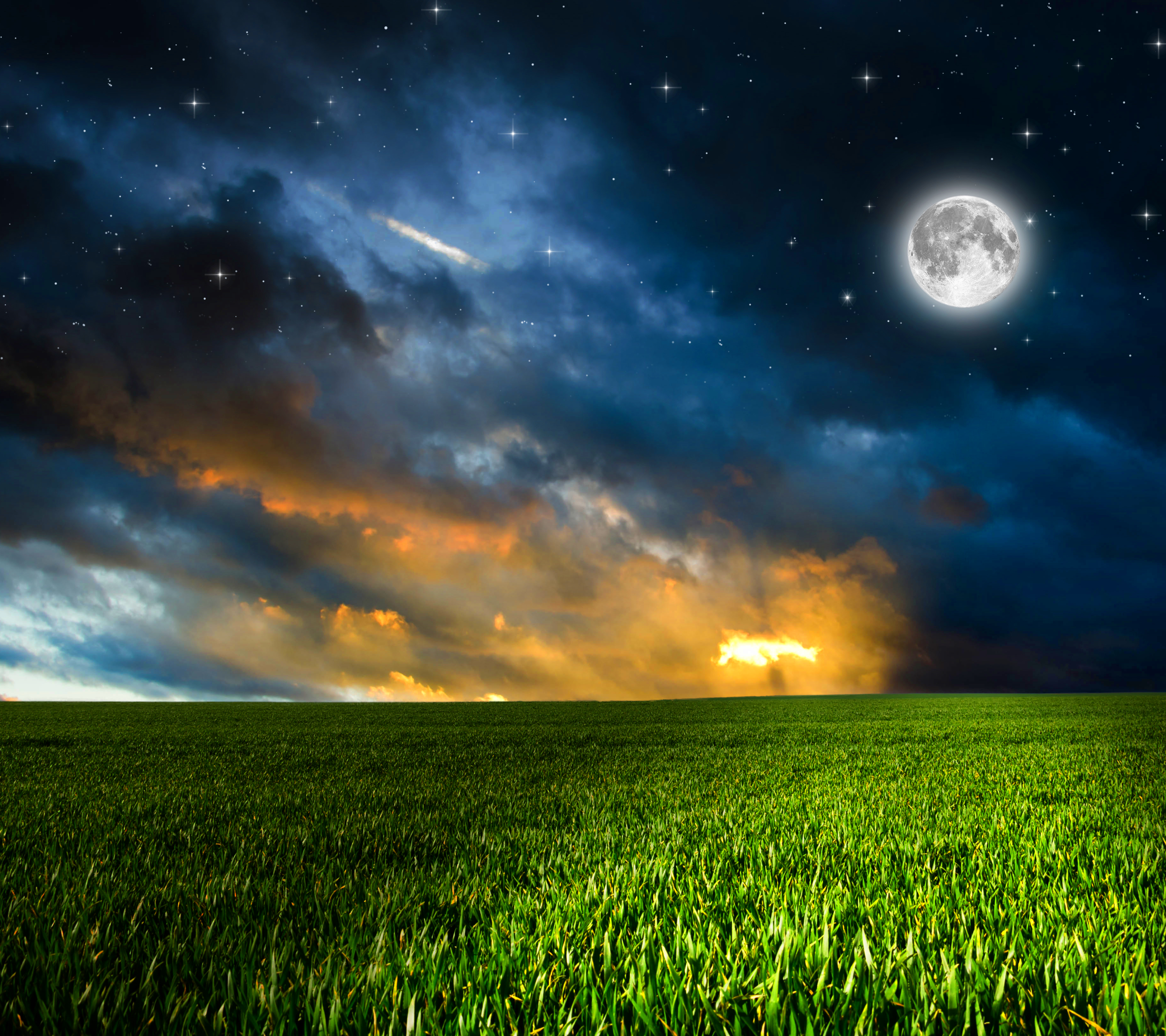 Звездное небо в поле. Ночное небо. Ночное поле. Поле ночью. Звездное небо с луной.
